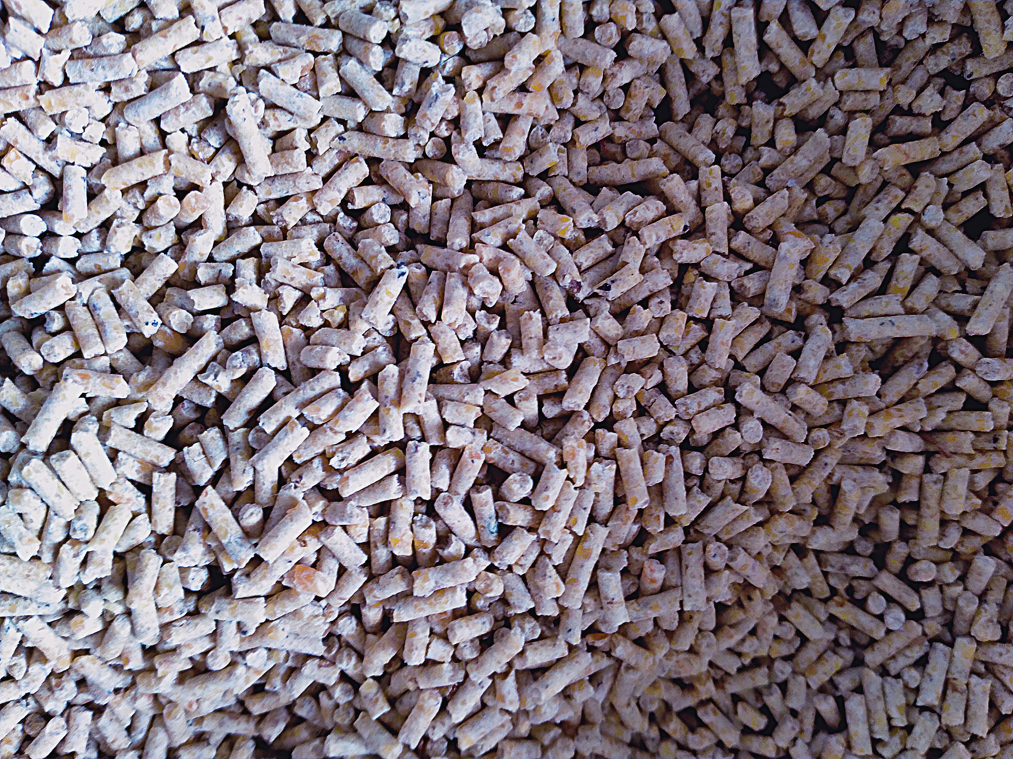 生物陶粒：结合无机陶粒与生物成分的复合材料