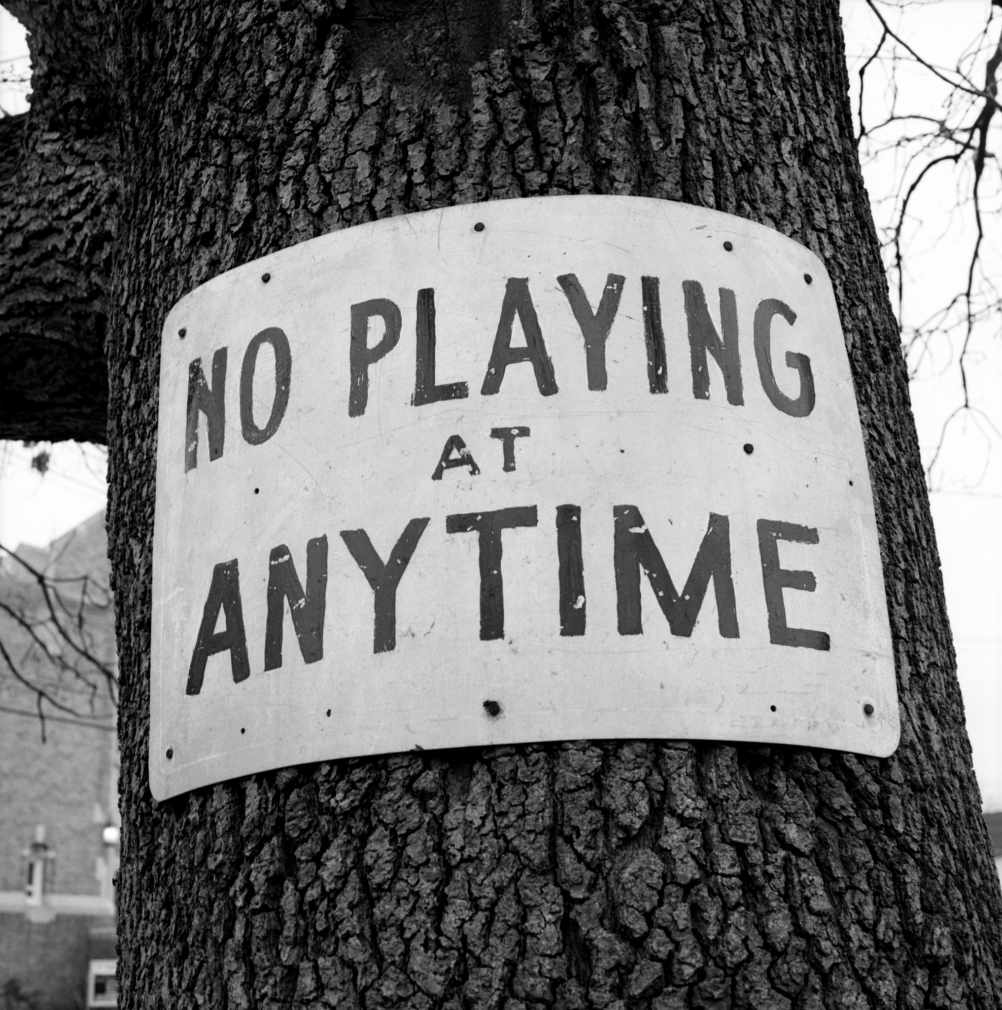 write a letter for hong kong british homeless for getting low income house from UK government, immediate need in nottingham, transfer from hong kong due to political turmoil, use first person, in very humble tone