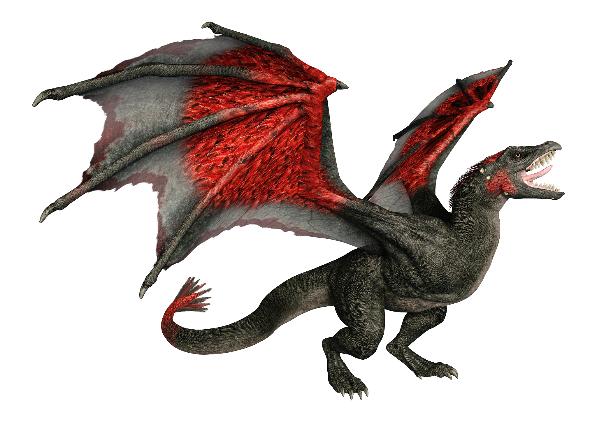 3d illustration fantasy dragon on white