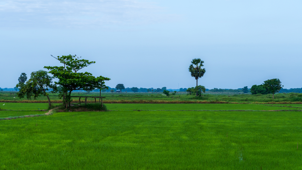 乡村风光：一份宁静与快乐的旅行