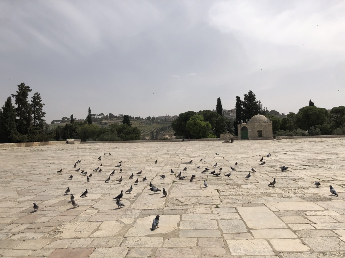 以色列传统衡器市场