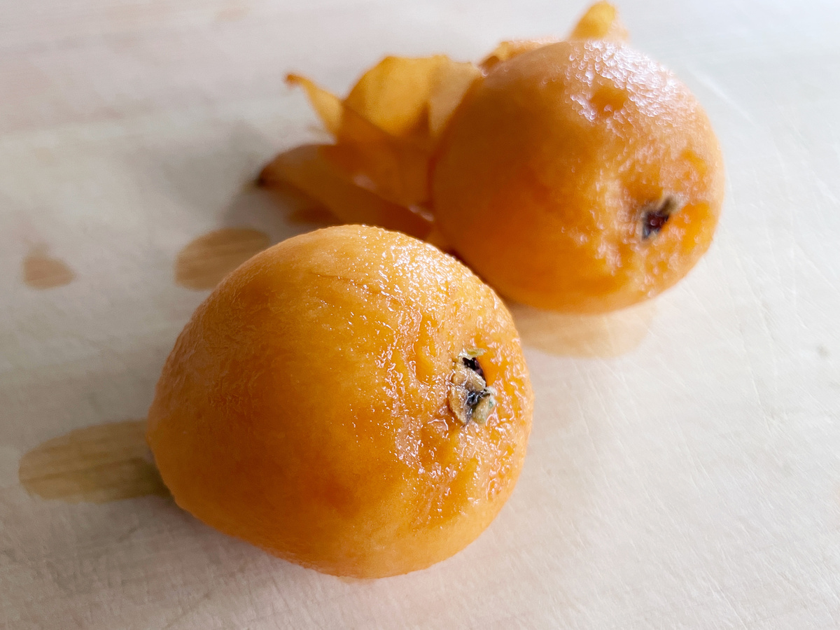 没有熟的枇杷果的功效与作用，