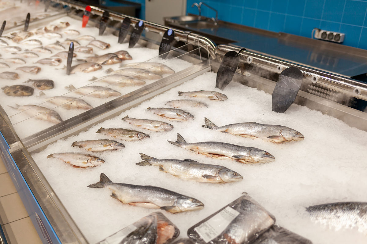 改写下面文章让它更加高级This diagram shows that several processes are involved in the commercial production of frozen fish pies The main ingredients consist of fresh salmon peas and sauce with sliced potatoes whi