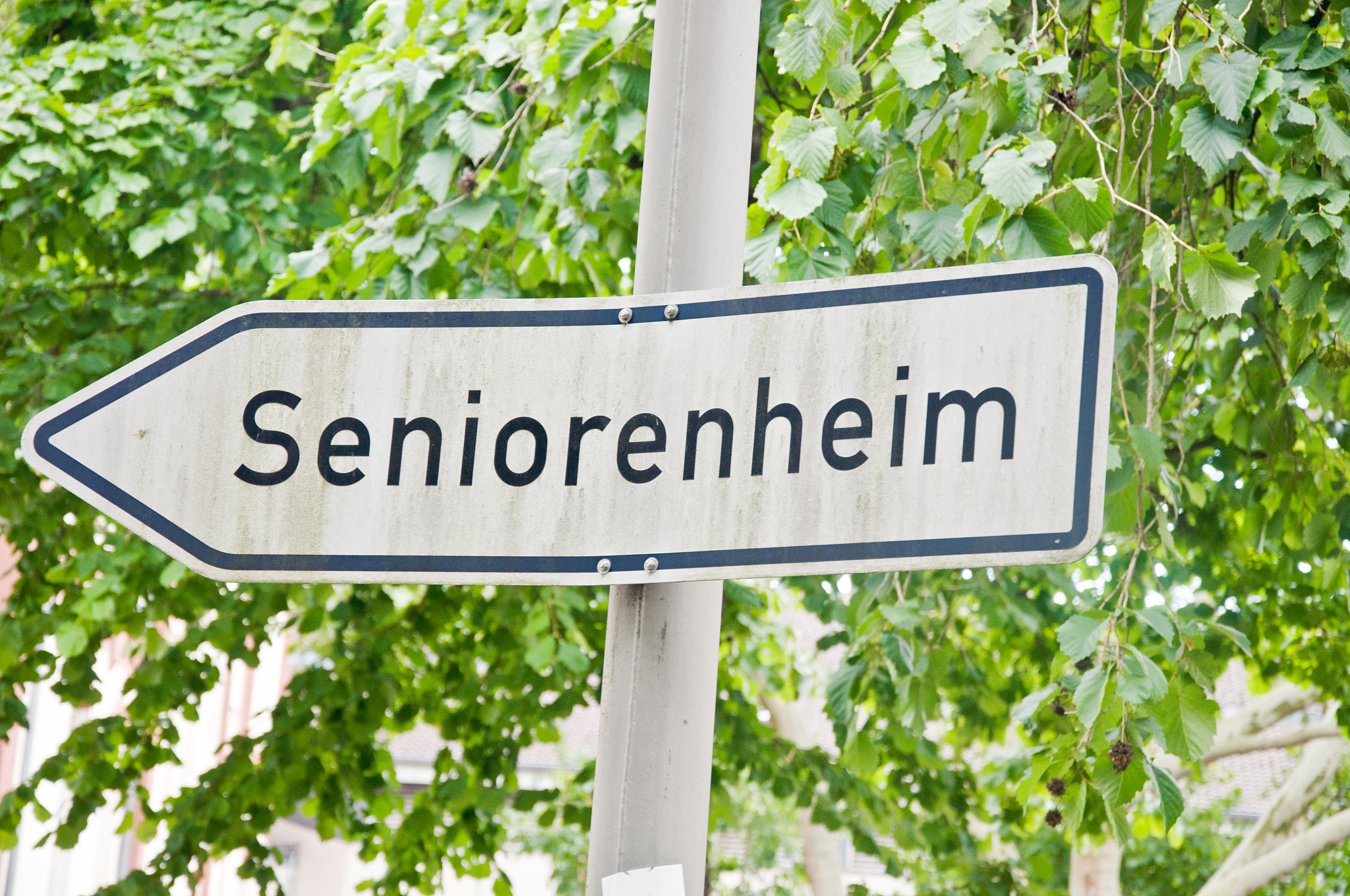 作为一名从护理学跨考公共卫生的学生，如何将两个学科领域的知识和理论进行交叉融合