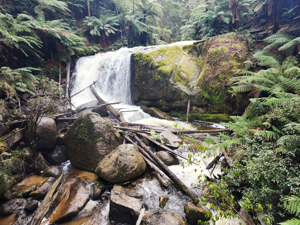 神农架下谷坪值得去吗