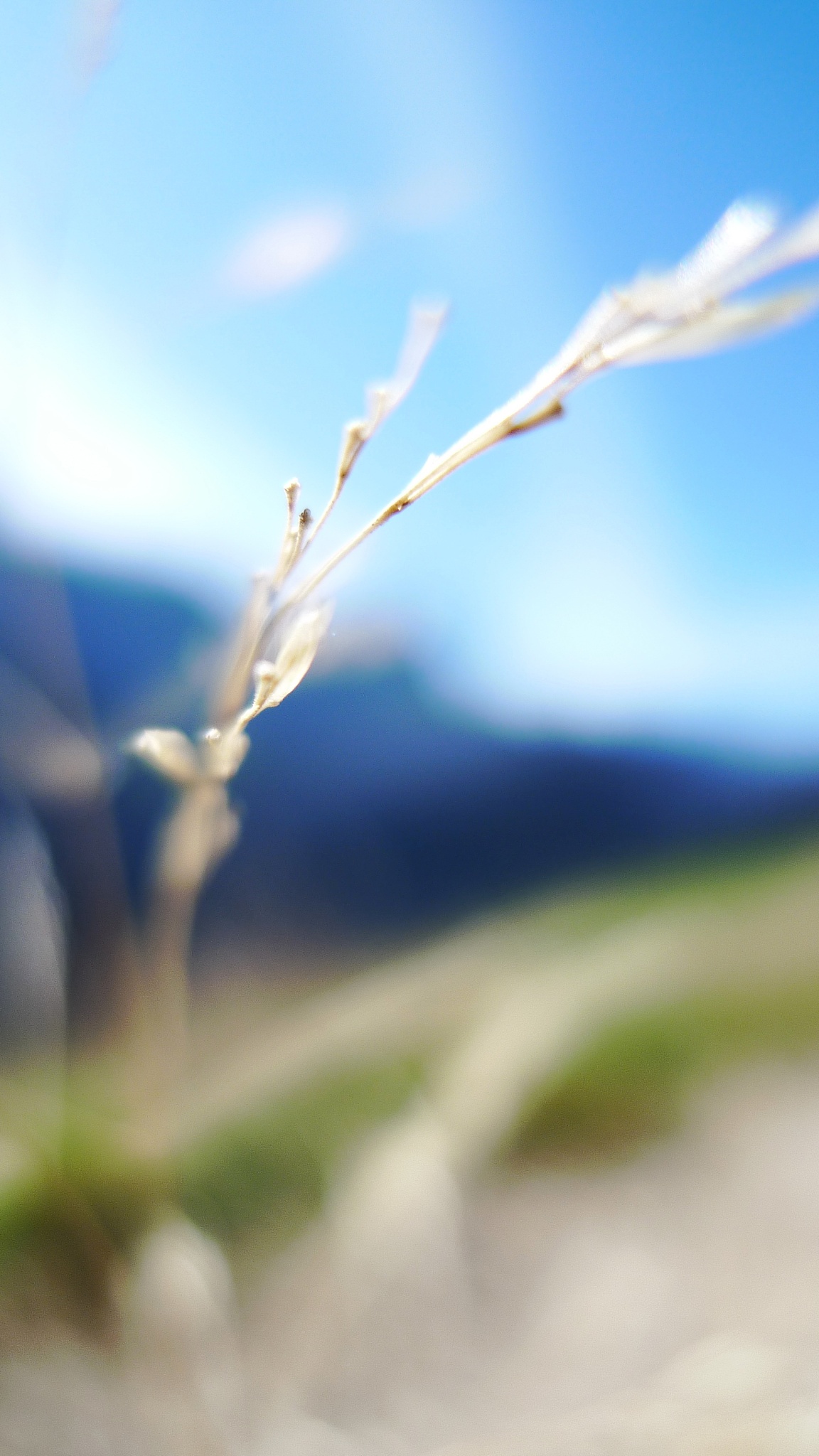 手机里的图片怎么提高它的清晰度