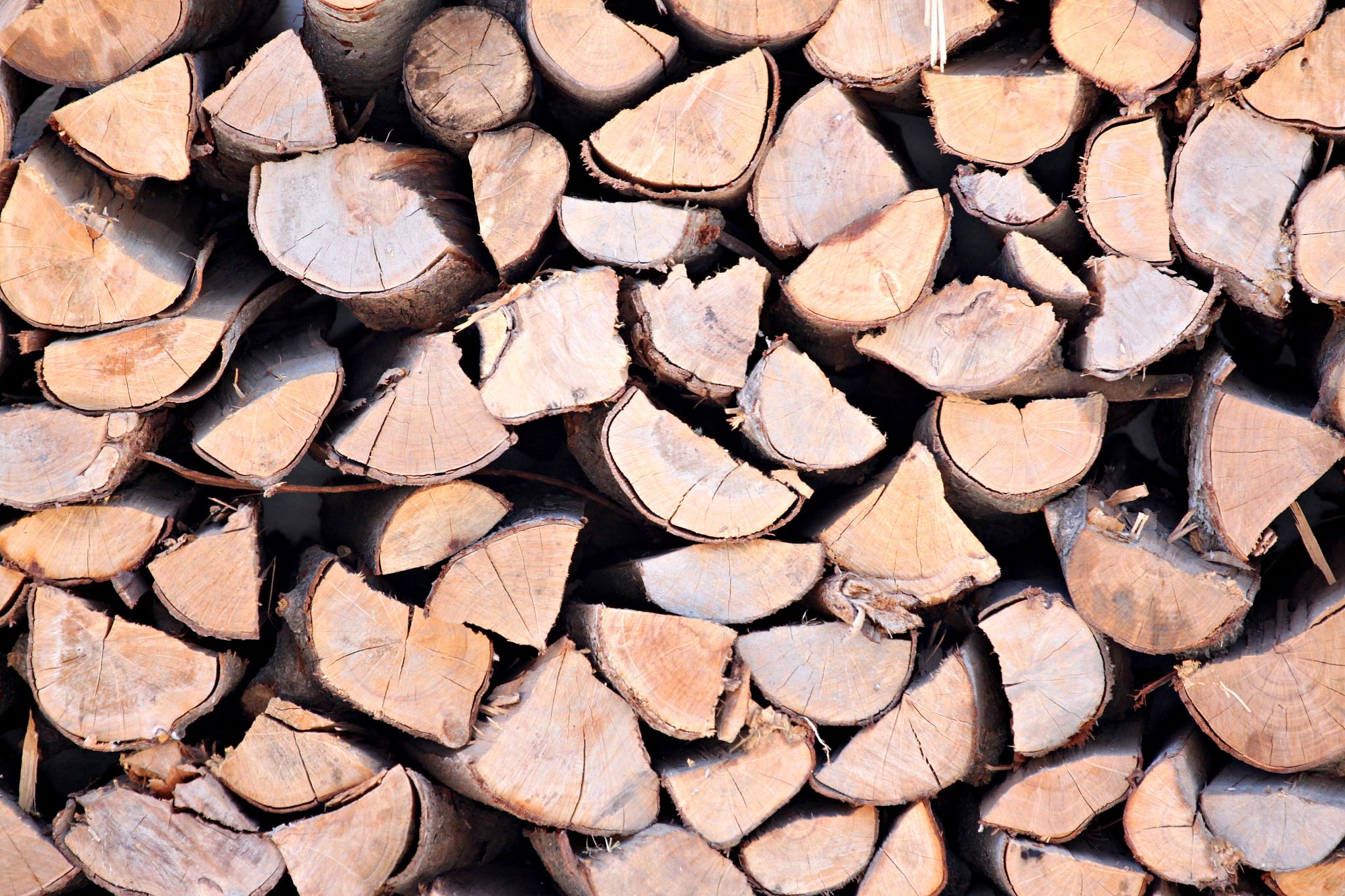 辽宁地质工程职业学院地籍测绘与土地管理专业好就业吗