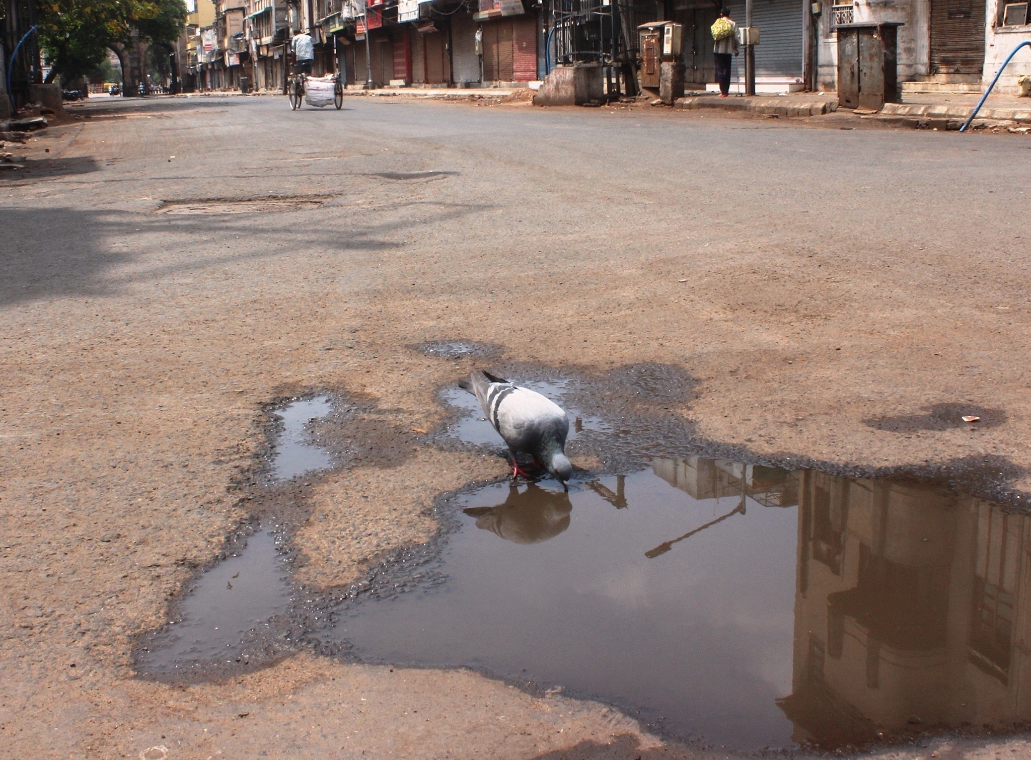 ahmedabad during coronavirus lockdown