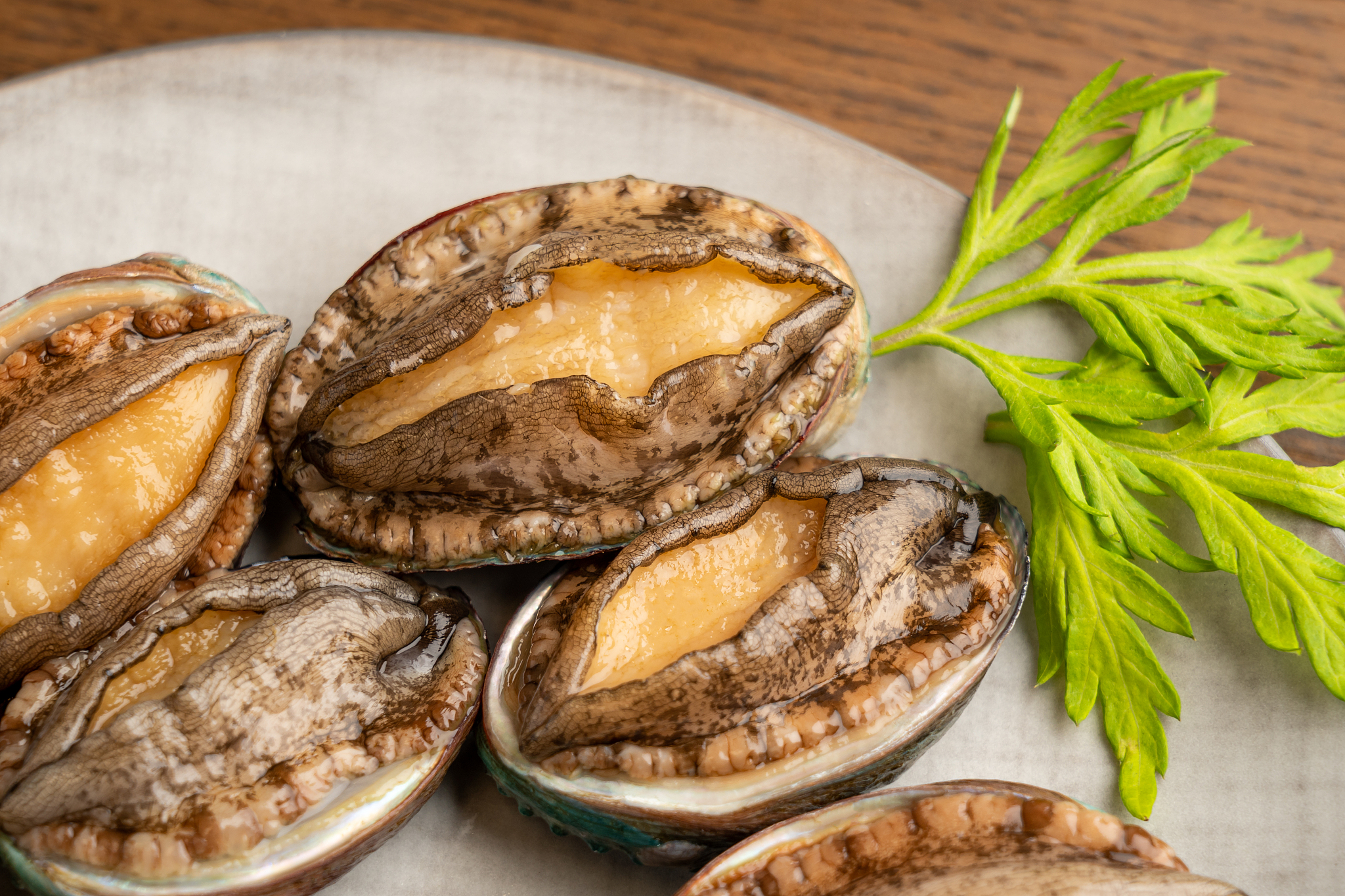 鲍鱼为什么不能和鸡一起吃，