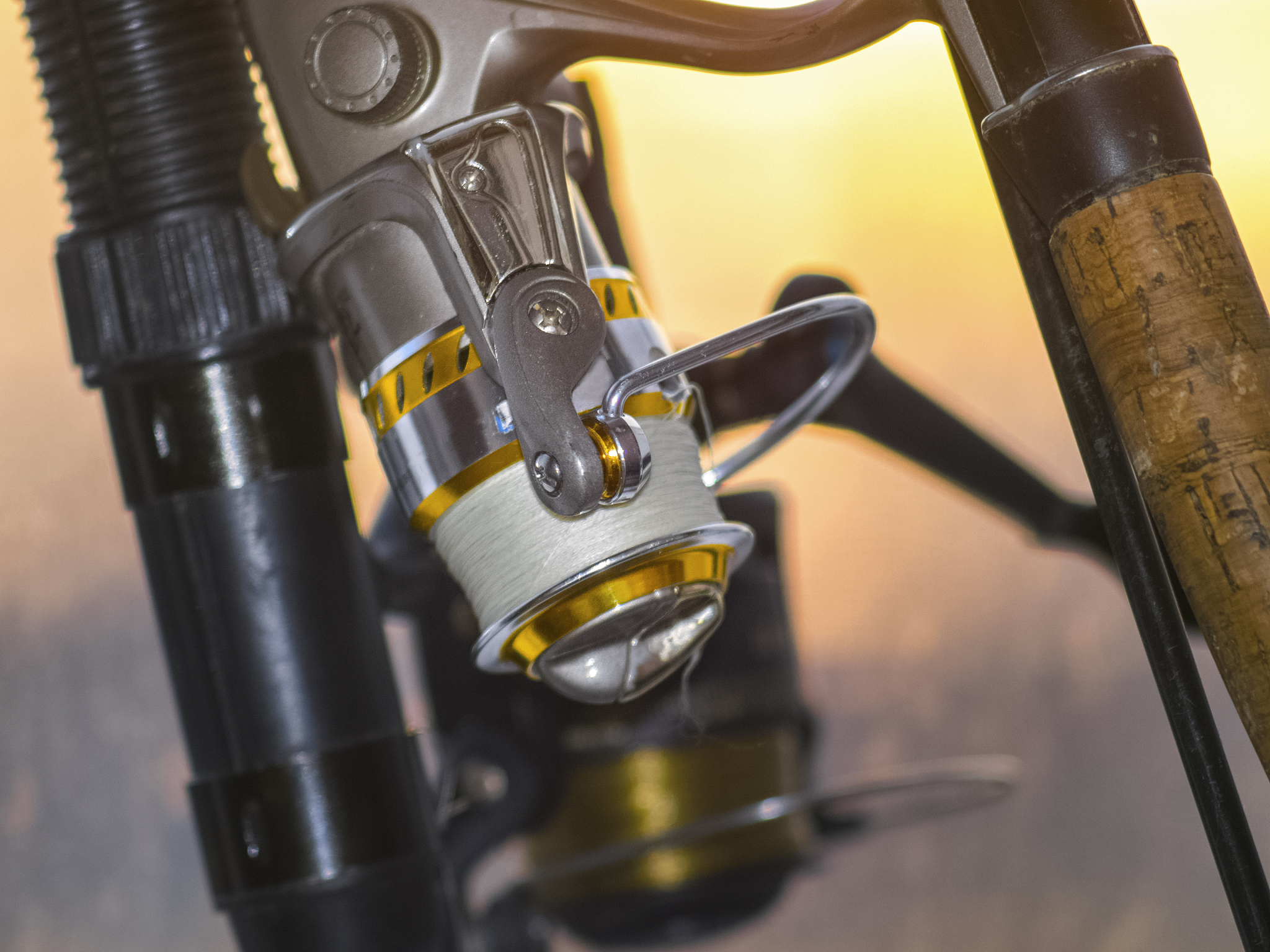 beautiful golden reel for fishing