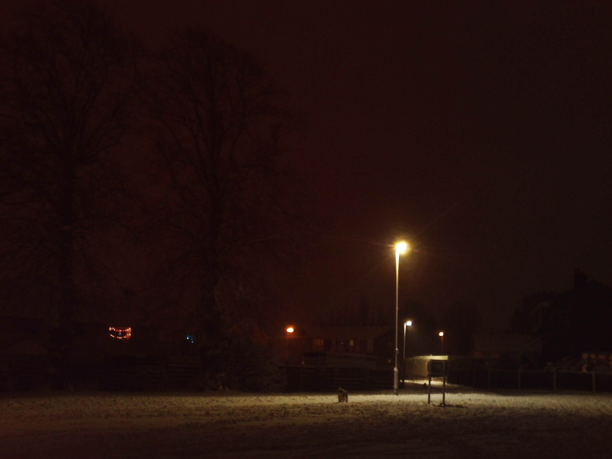 december night's 2017.