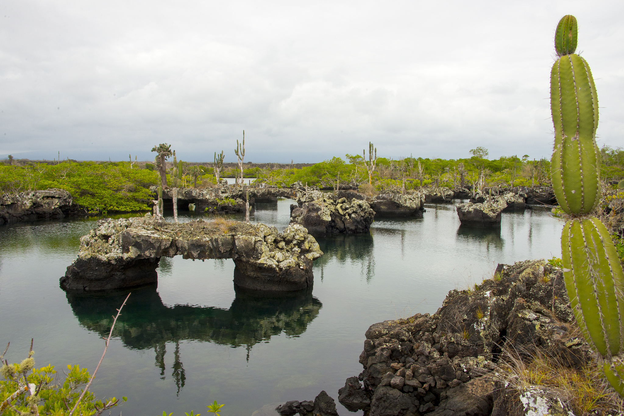 los tuneles galapagos