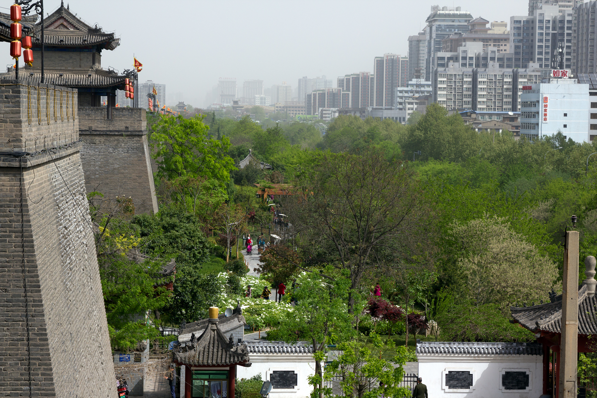 以《淄博旅游攻略：探秘历史文化名城》为创作方向写一篇一千字左右的旅游攻略要求文章条理清晰要求内容尽量丰富且完整要求描写详细且文笔优美要求文章内容引人入胜要求让人有读下去的欲望。