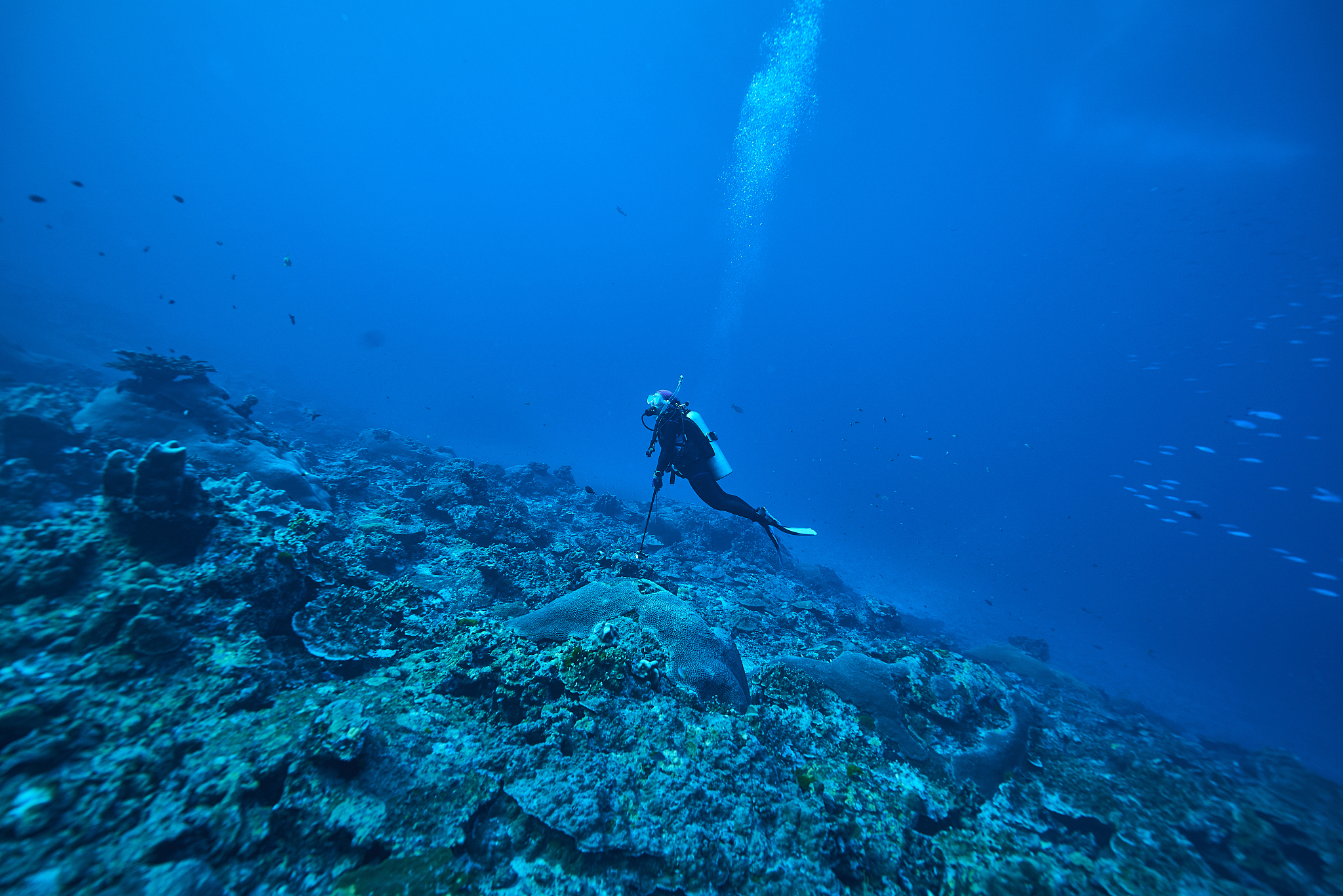 underwater