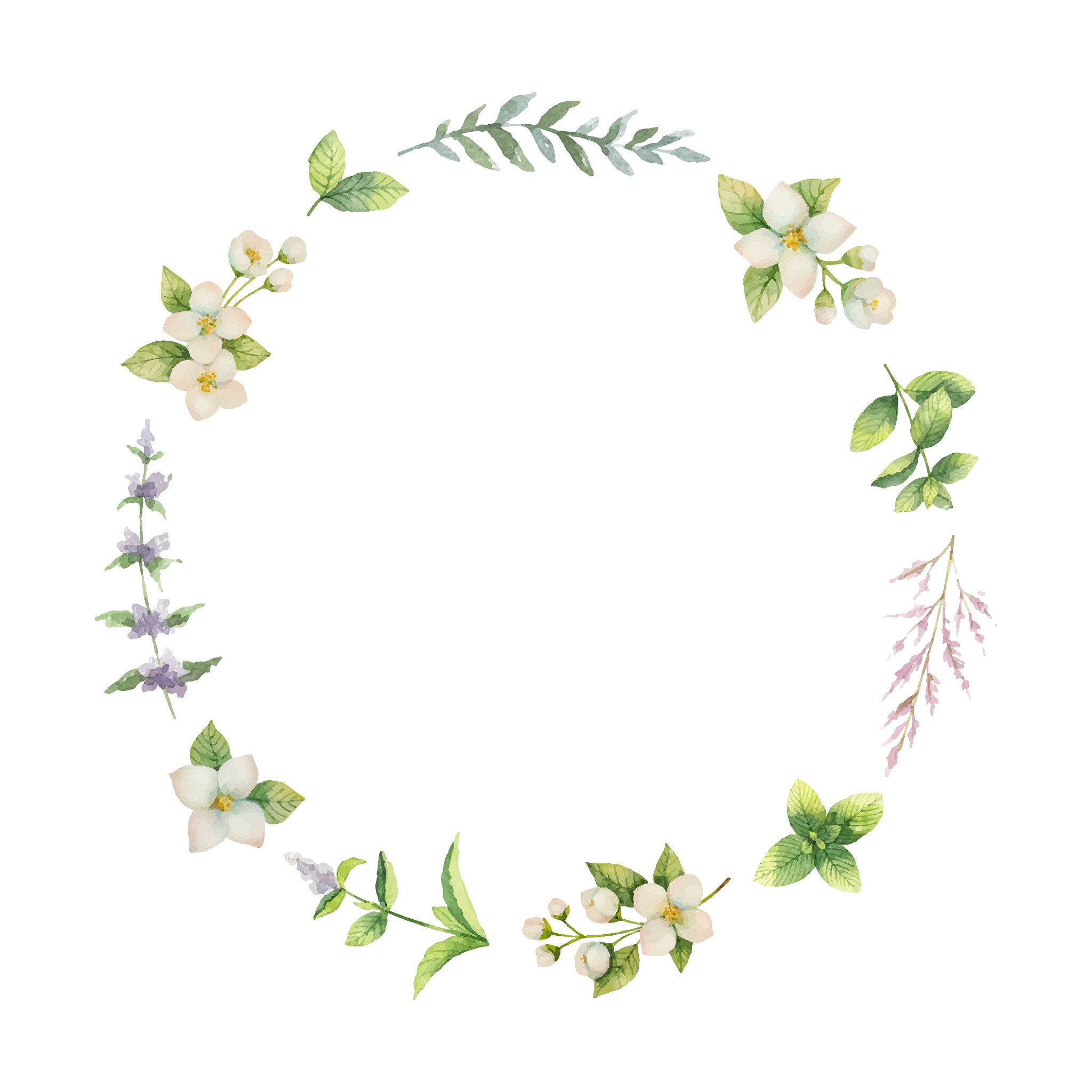 watercolor vector frame of jasmine and mint branches isolated on