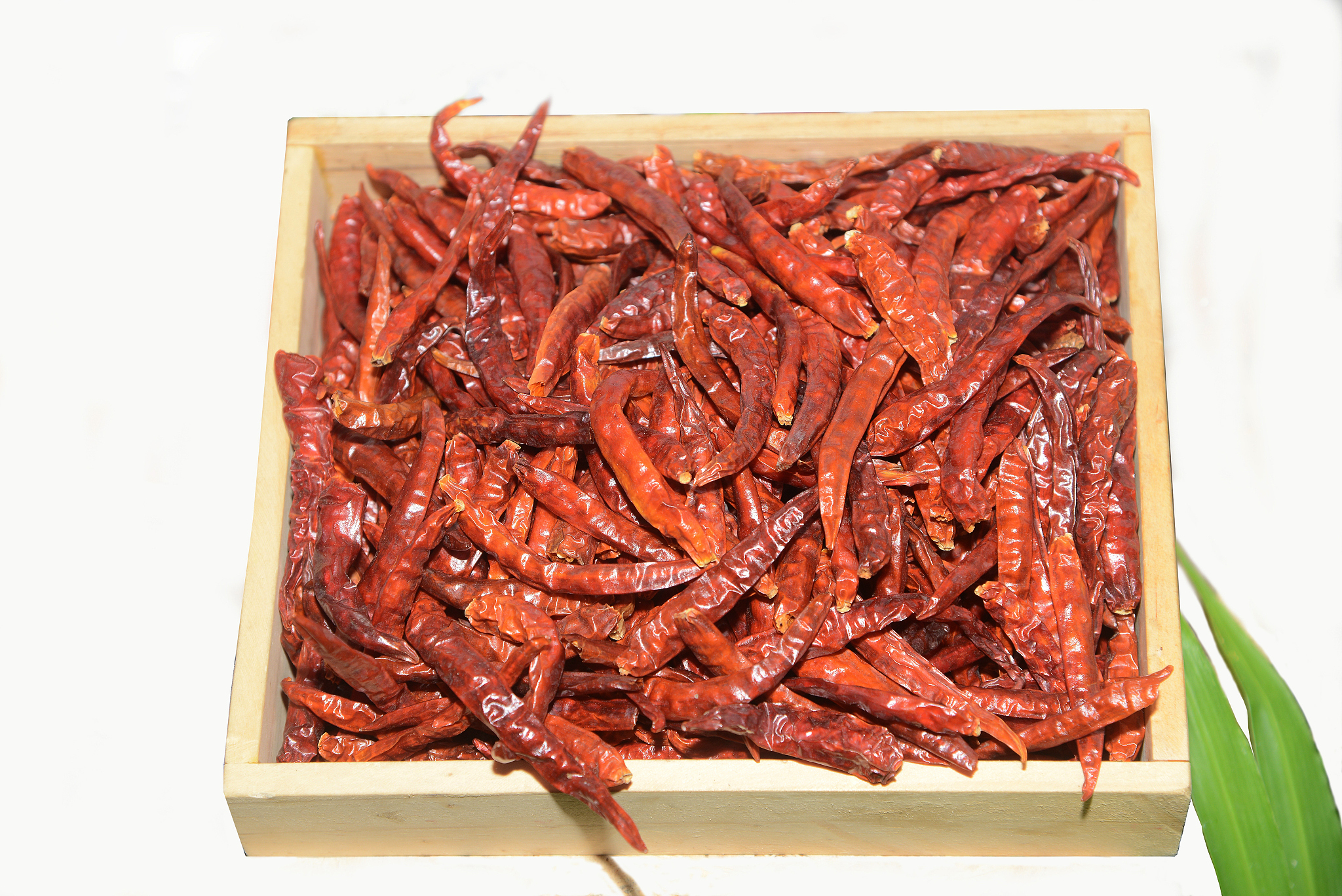 来云南旅游想带一些特产回去请问云南有哪些好的特产？模拟5个网友回答此问题