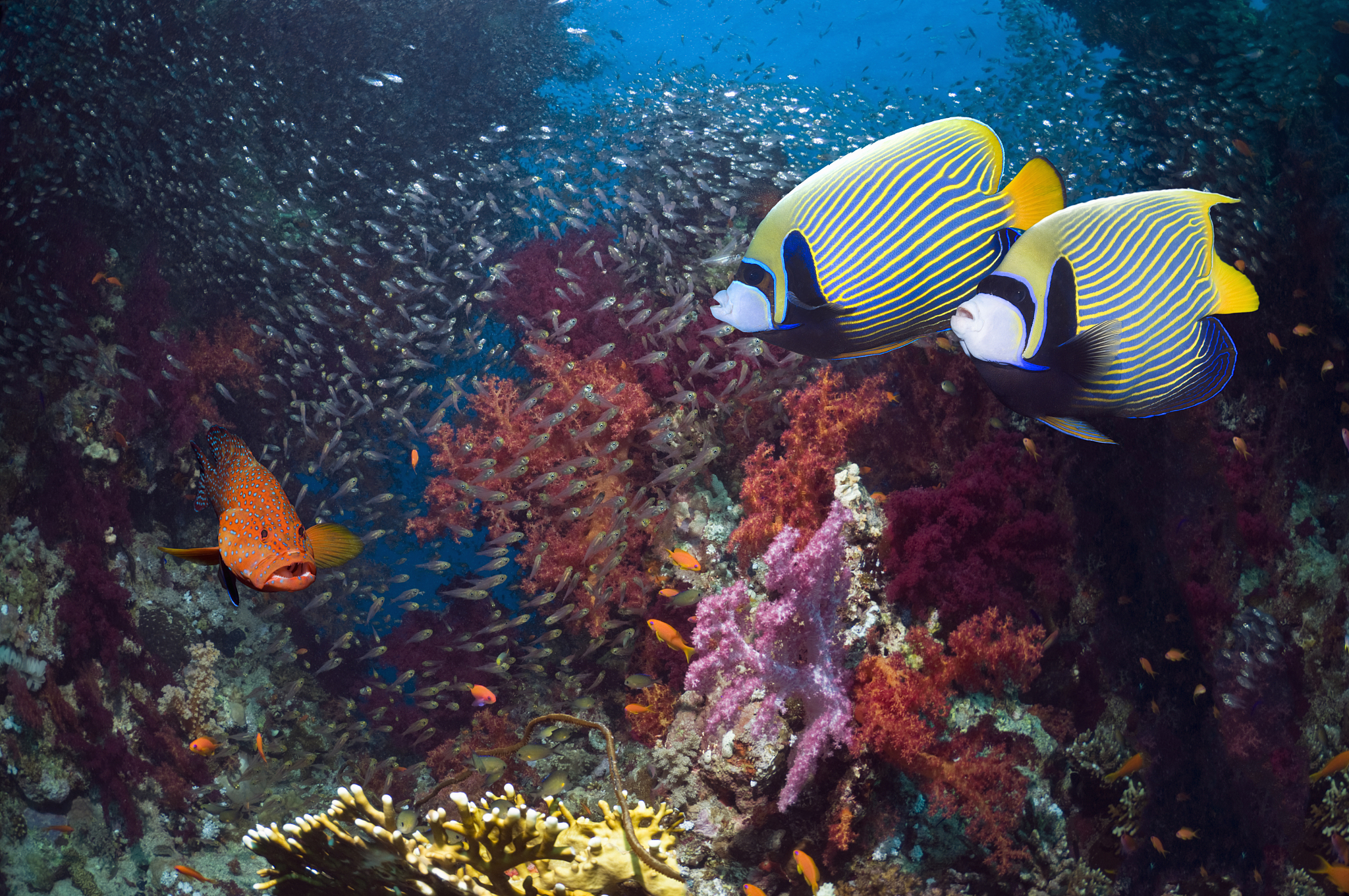 日照市海洋工程学校荣誉