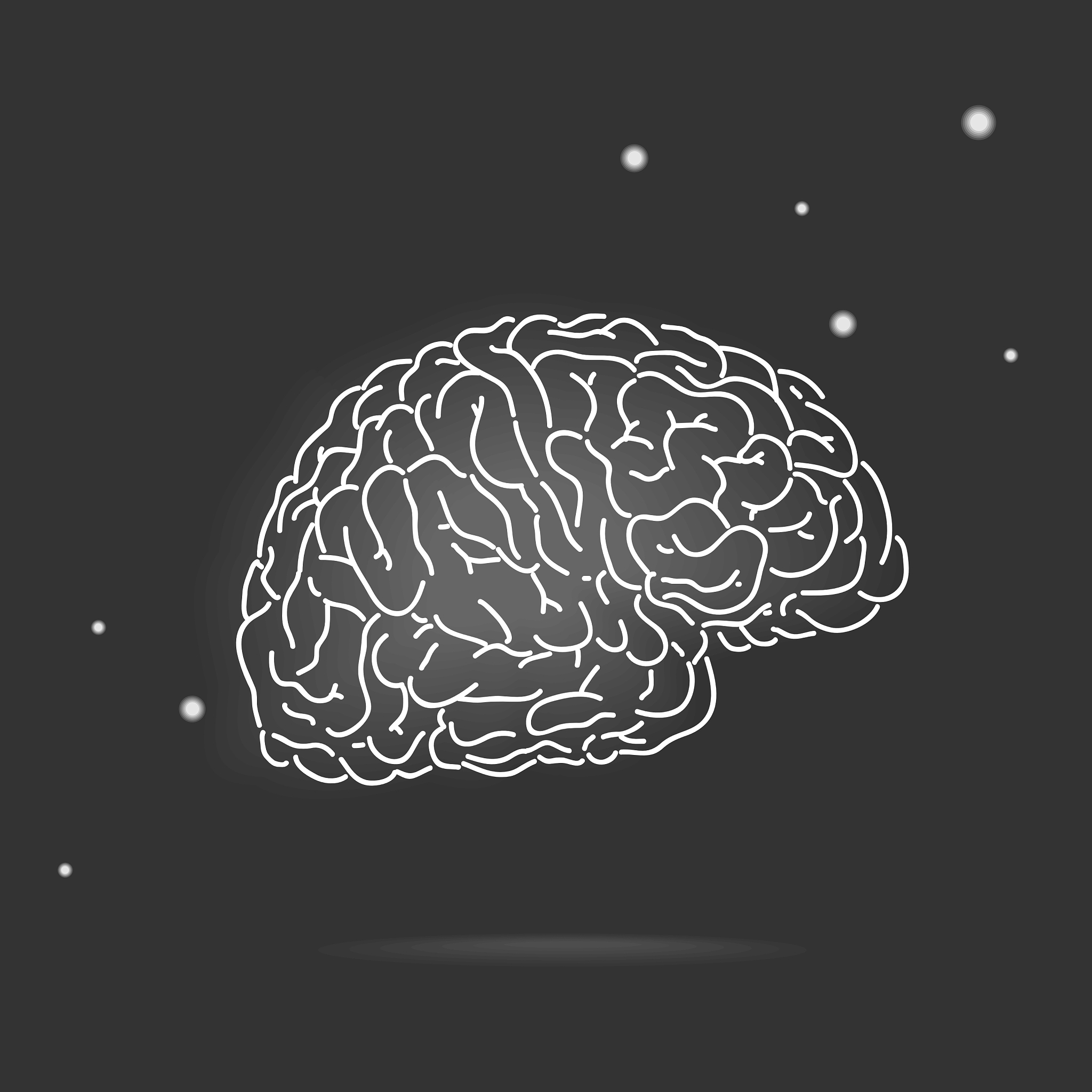 暗香浮动：一个关于好奇与探索的故事