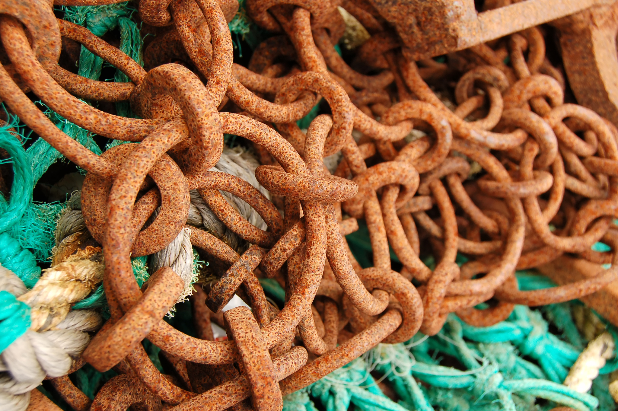 丽江民族中等专业学校中药专业如何好学吗