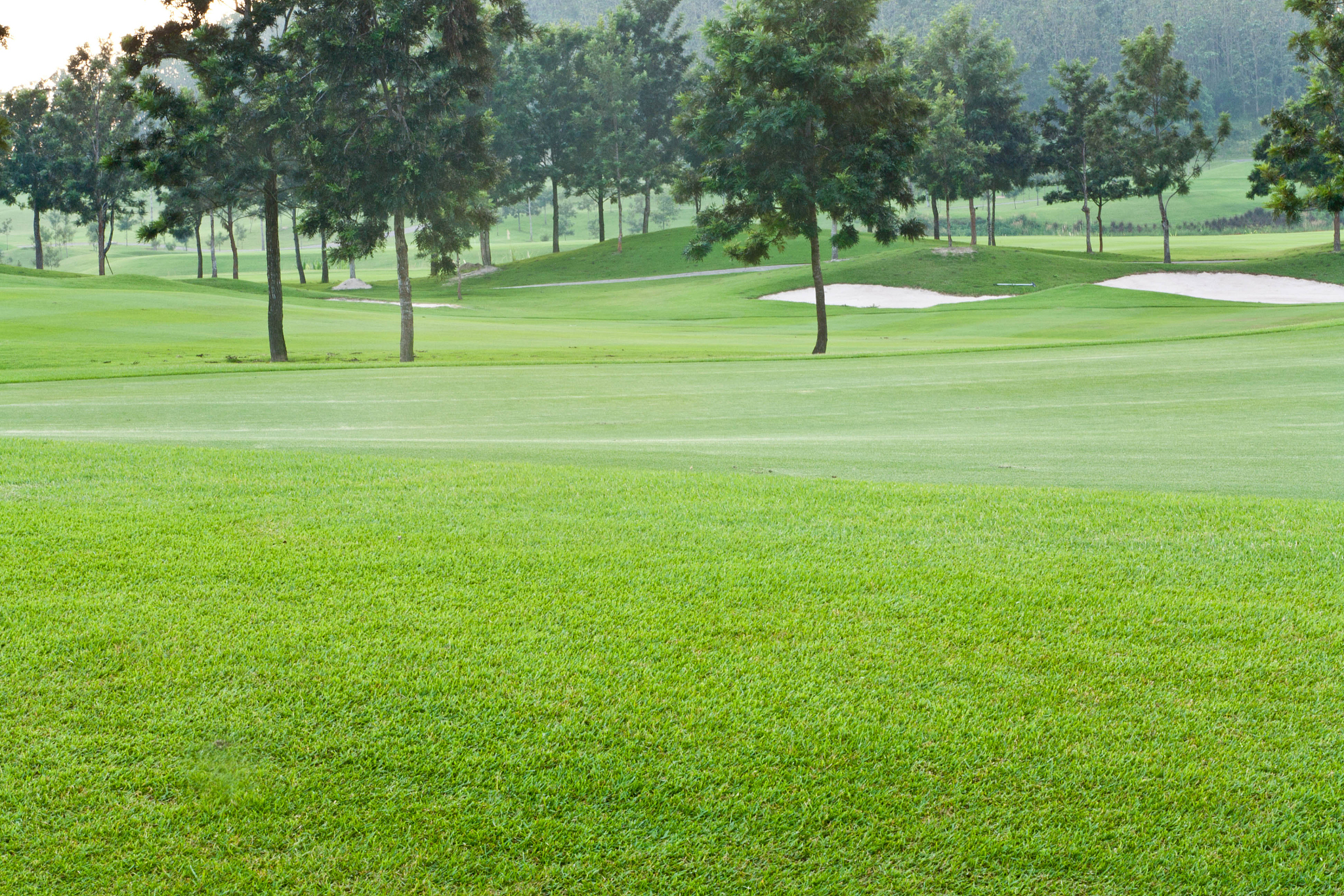 湖南高尔夫旅游职业学院工商企业管理专业怎么样
