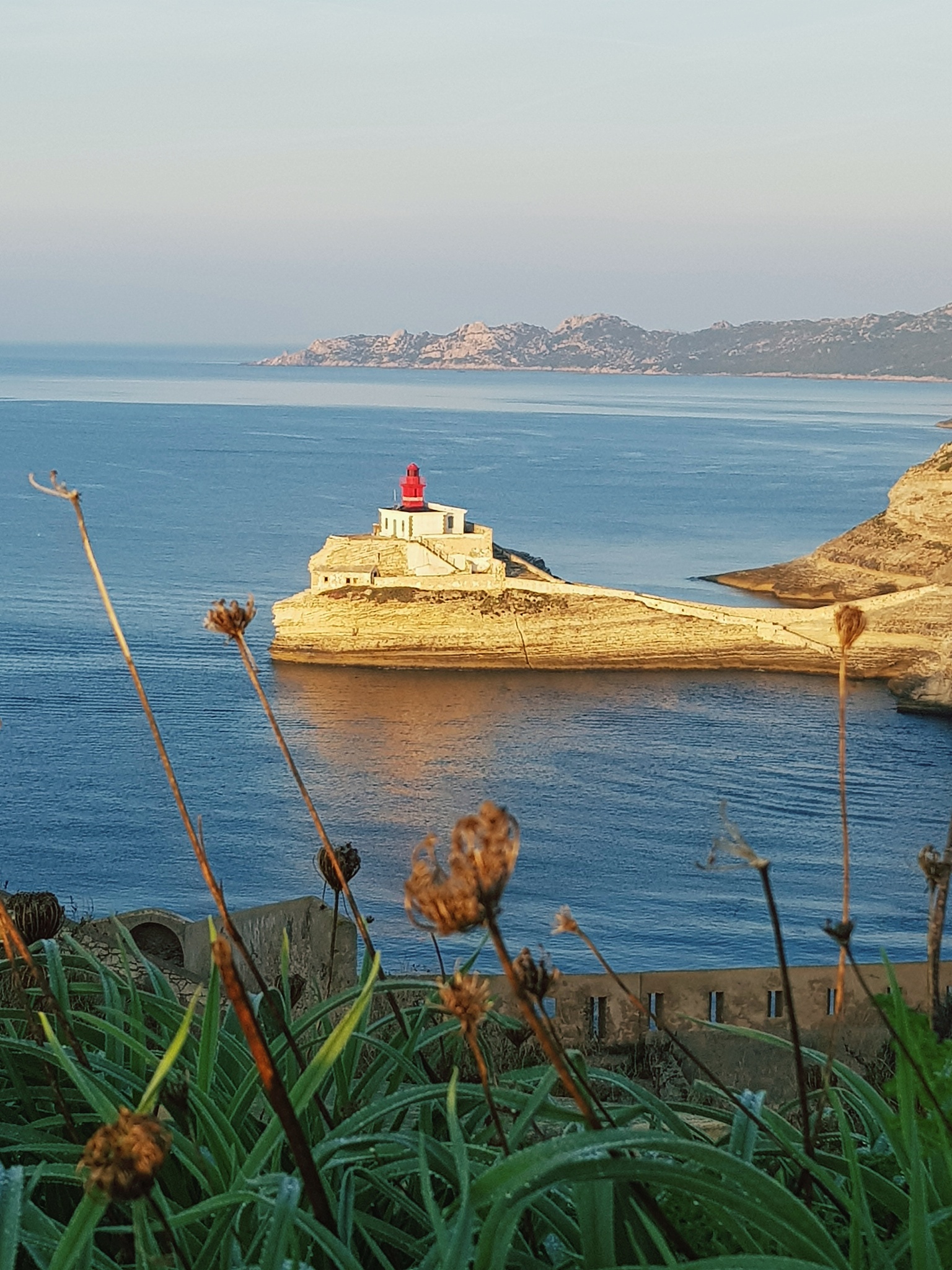 lighthouses and sea