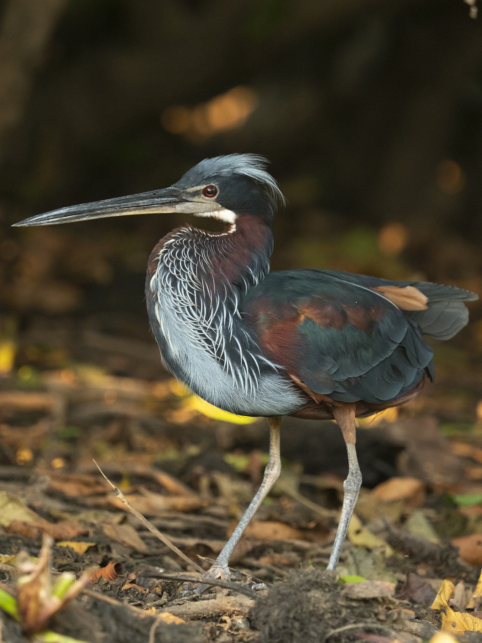 绥化到海伦多少公里？绥化至海伦距离查询-实时路况
