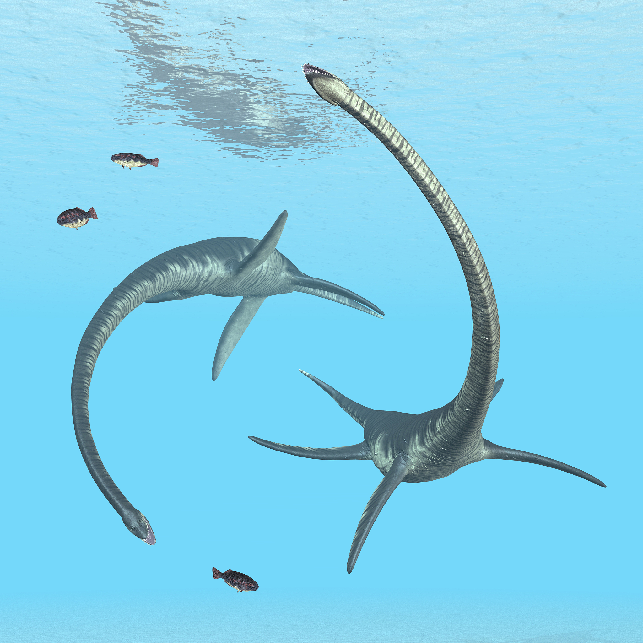 plesiosaur elasmosaurus