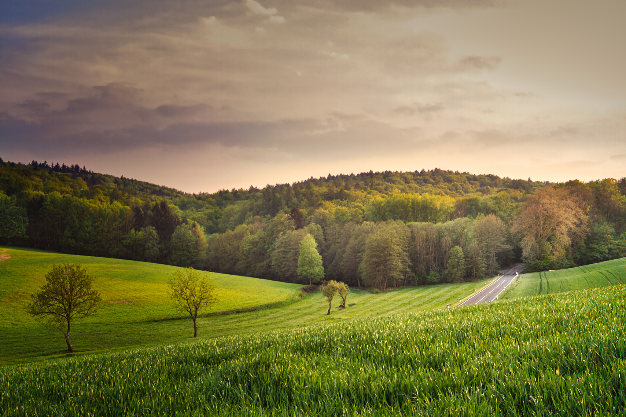 农业大学2023年招生专业：适应时代发展，培养农业人才