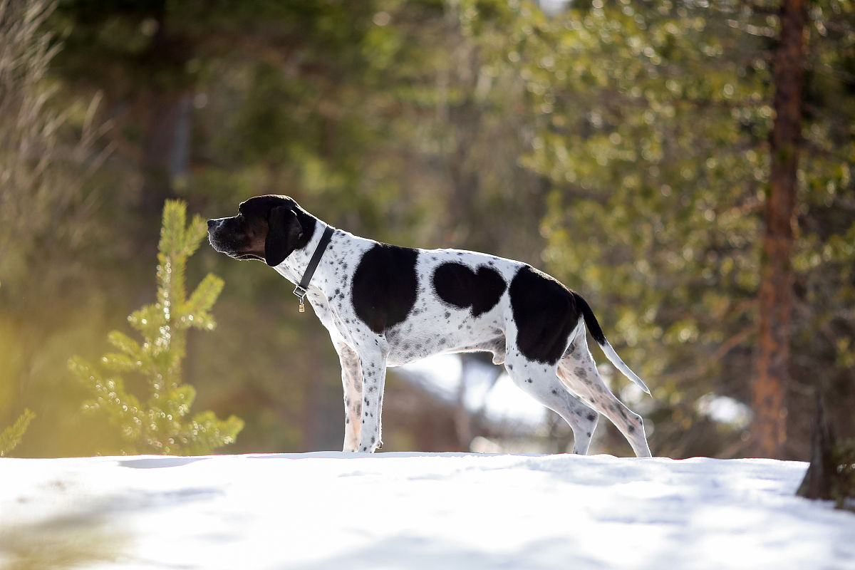 三明职业技术学院应用英语专业怎么样