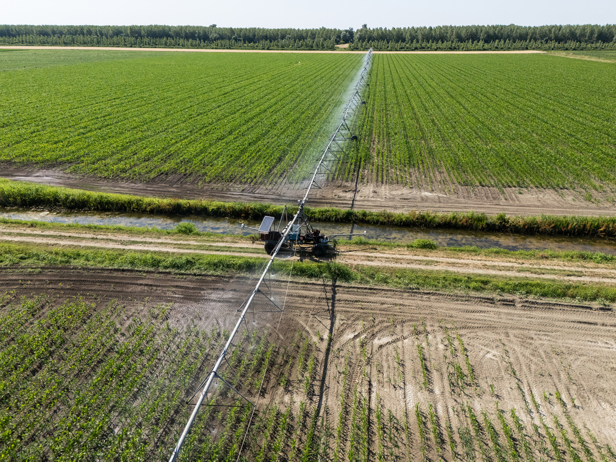 水稻机械化生产