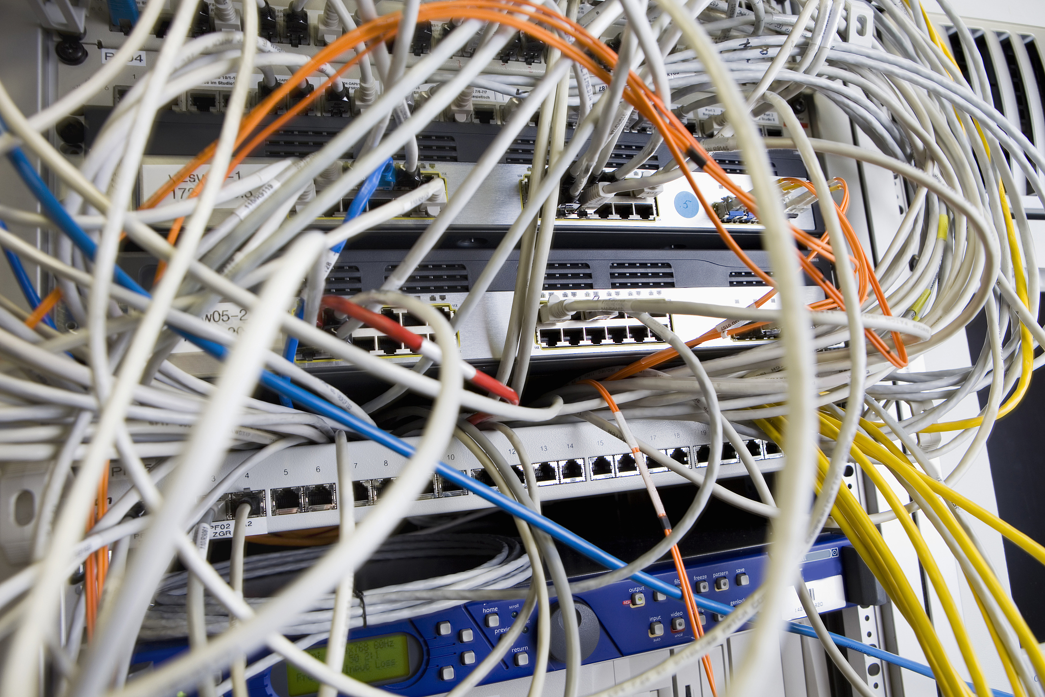 服务器网线被老鼠咬断导致数据无法获取：硬件安全风险