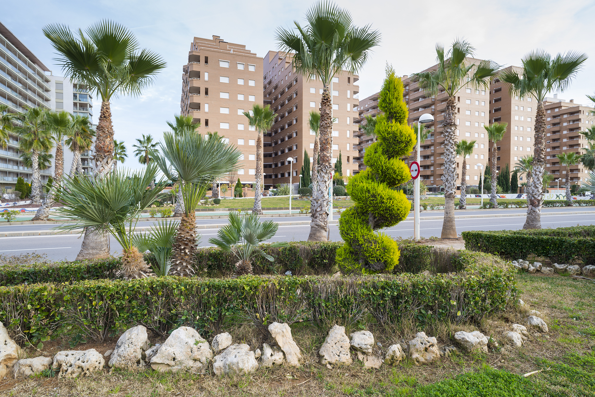 广西农业职业技术学院风景园林设计专业：课程设置及未来发展