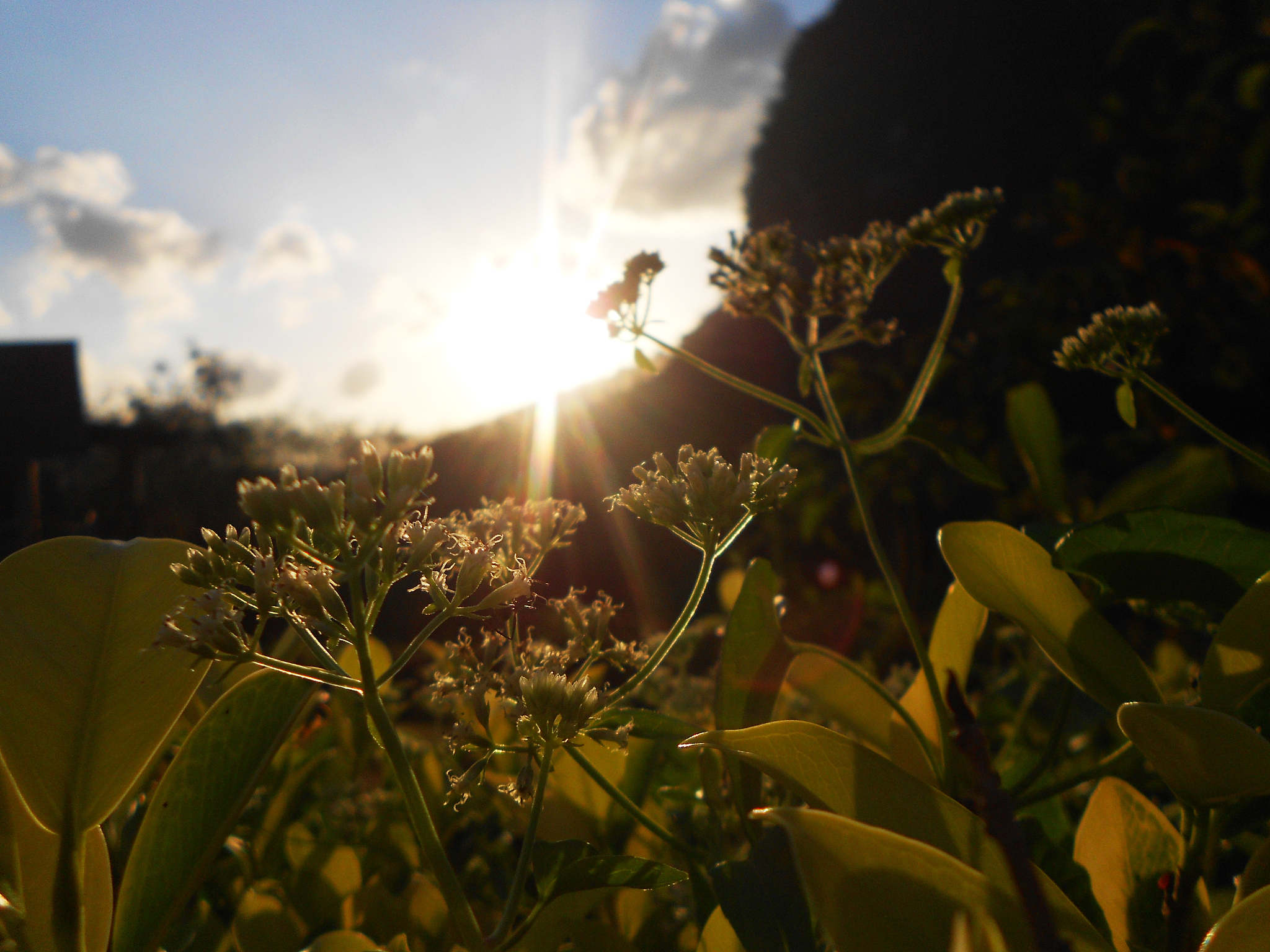 假日的宁静与自由