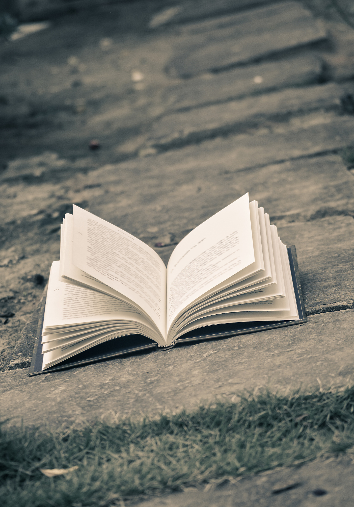 我是书，记录文明，传递智慧与情感