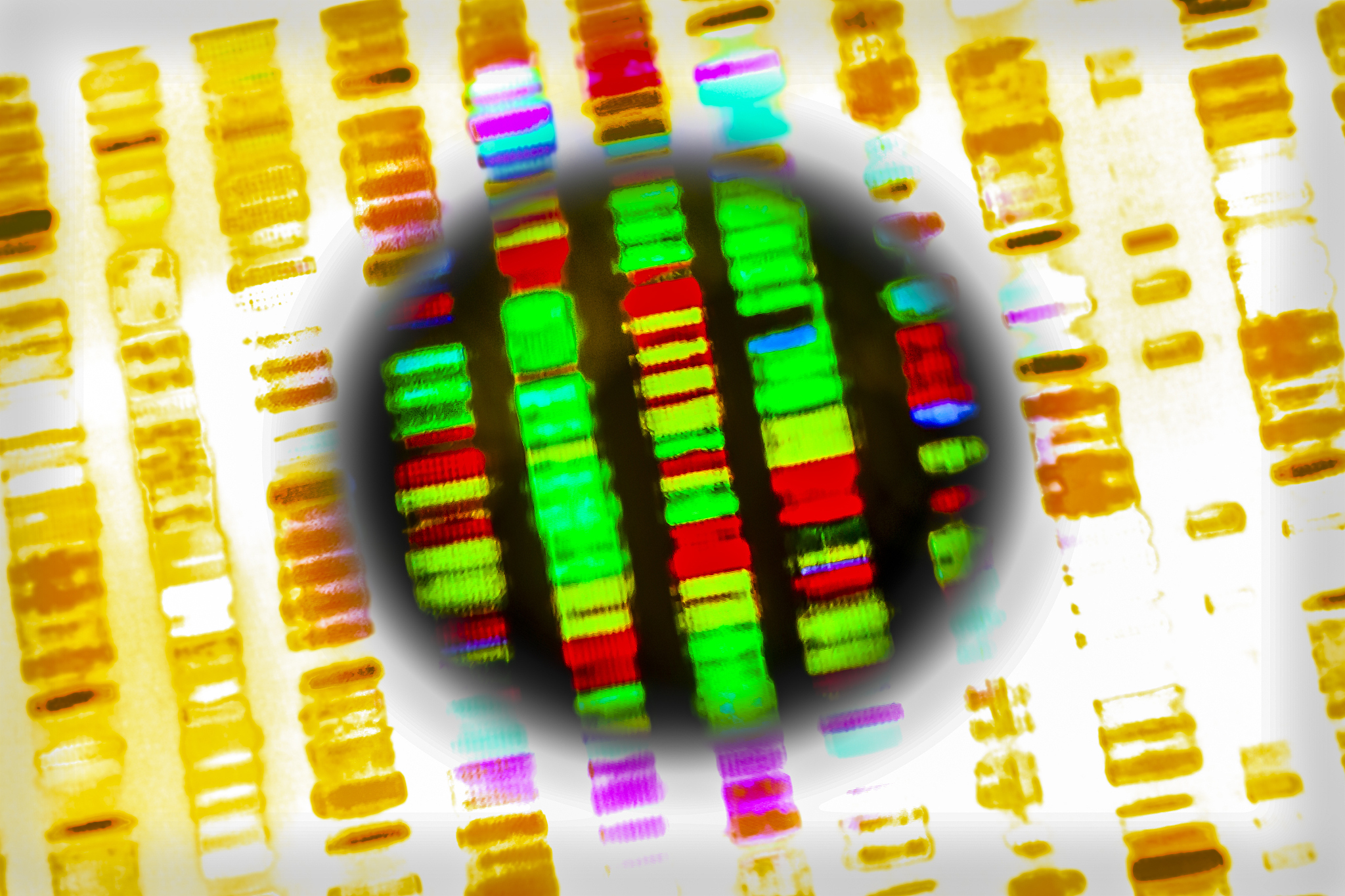 写一个土壤、微生物、水稻、镉的研究课题需要有研究意义研究内容、研究方案与技术路线