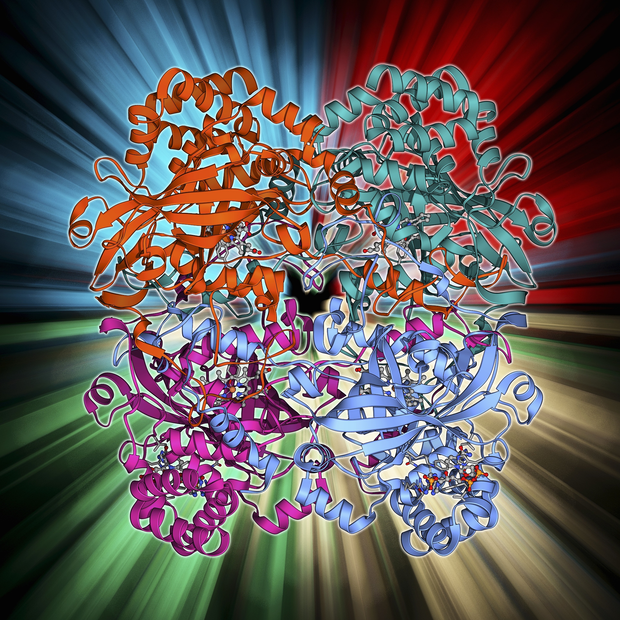 新陈代谢与活性氧：生物氧化、清除机制及过氧化氢酶的作用