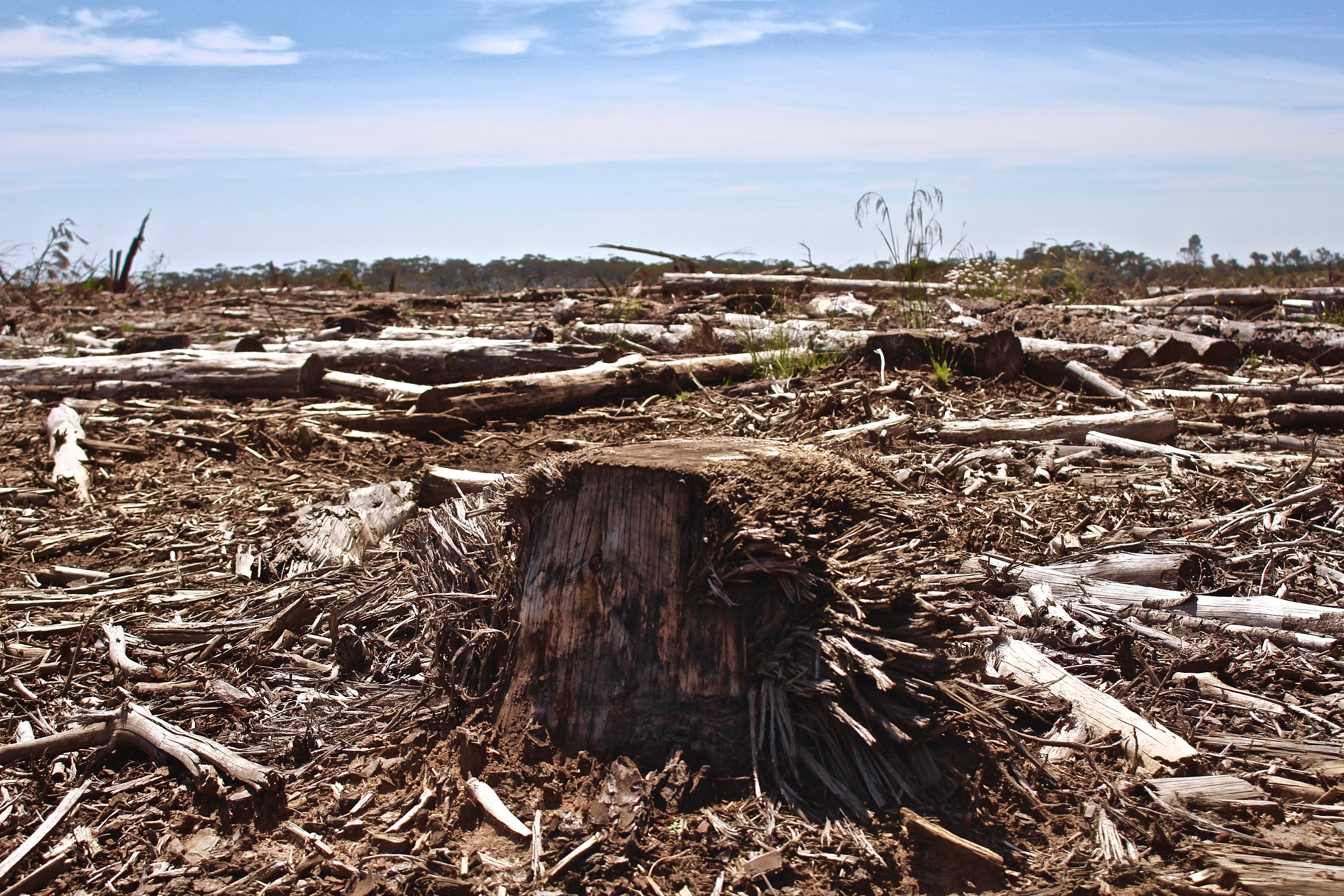 能说一下人对自然做了哪些破坏吗