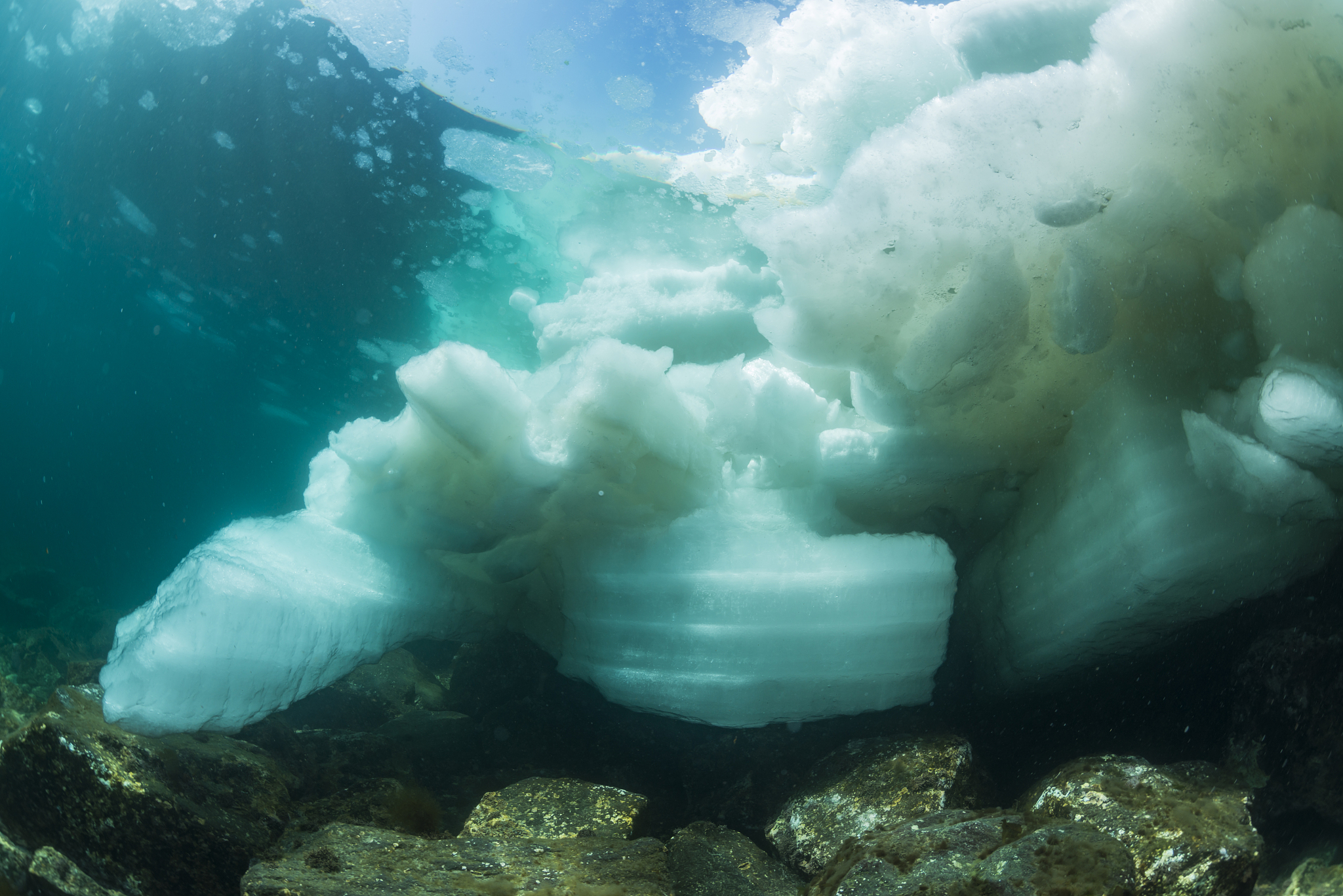 drift ice