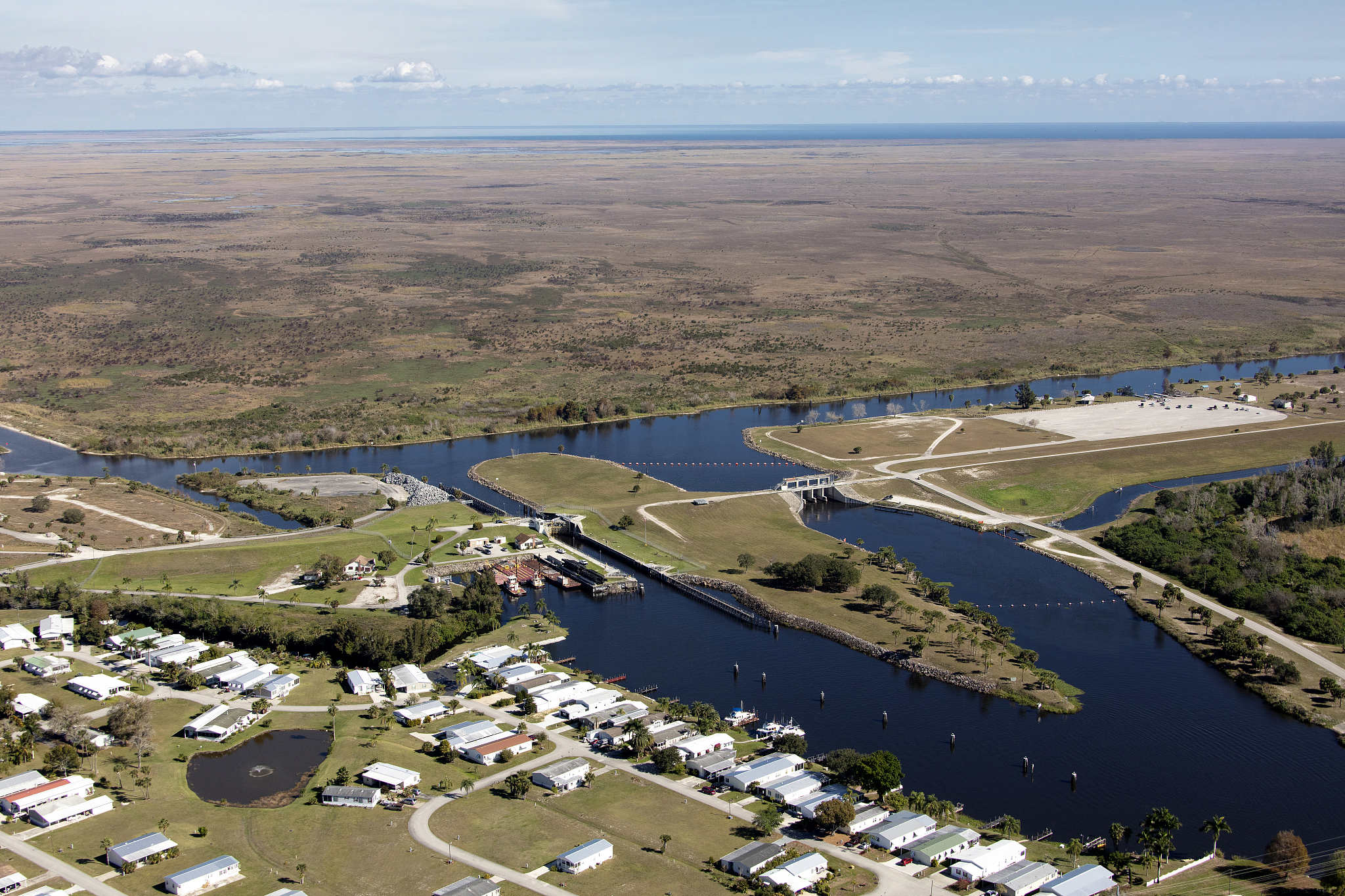 高原鳅属鱼类在拉萨河生态系统中起着承上启下的作用一方面捕食水生昆虫兼食少量藻类另一方面又做为顶级掠视鱼类及鸟类的食物其种群稳定关系到拉萨河流域整体的水生态平衡。翻译成英文