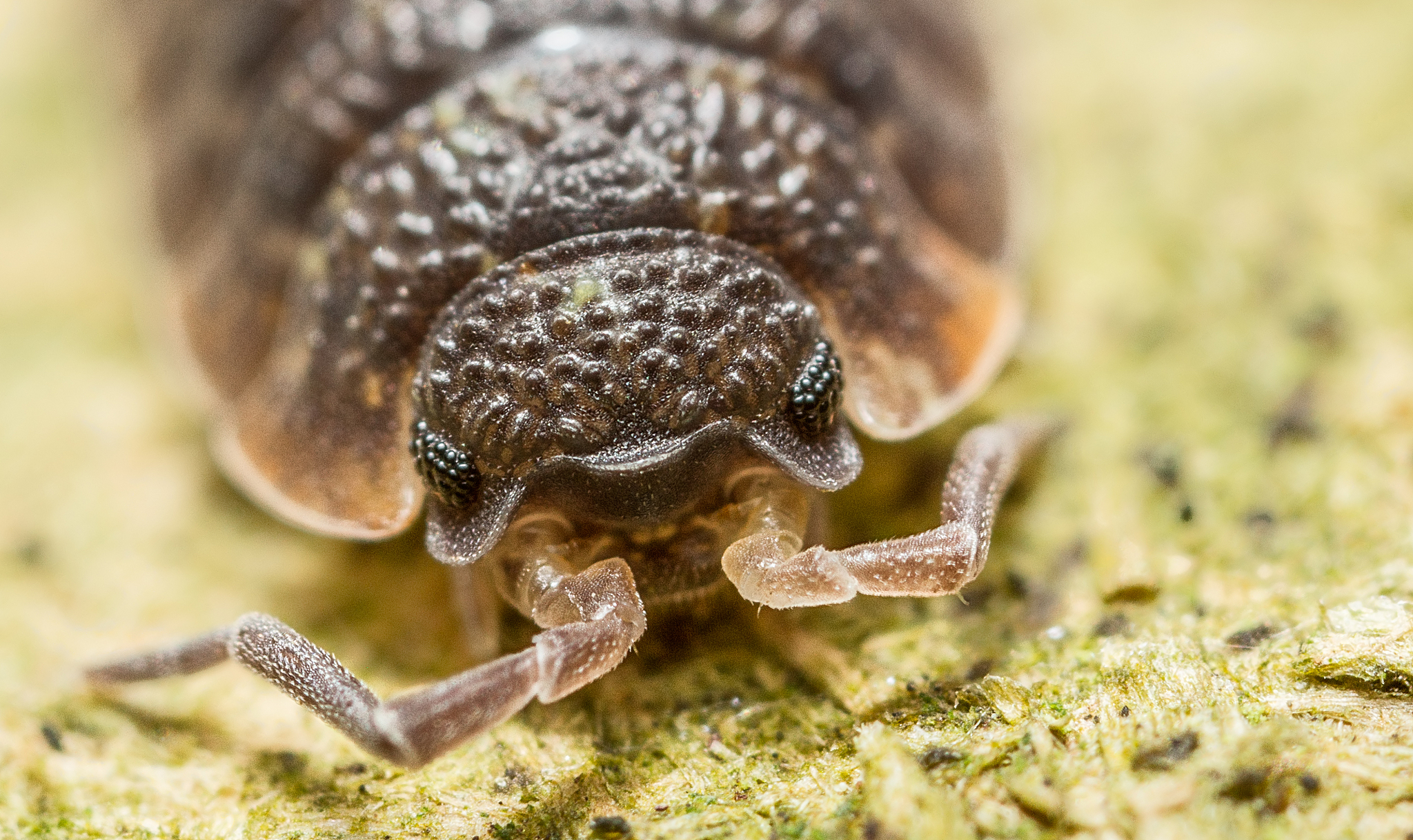 吉林工程技术师范学院的生物工程专业就业方向好吗