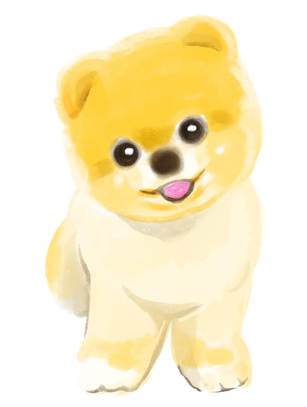 柴犬头部绘画指南：毛茸茸的可爱细节