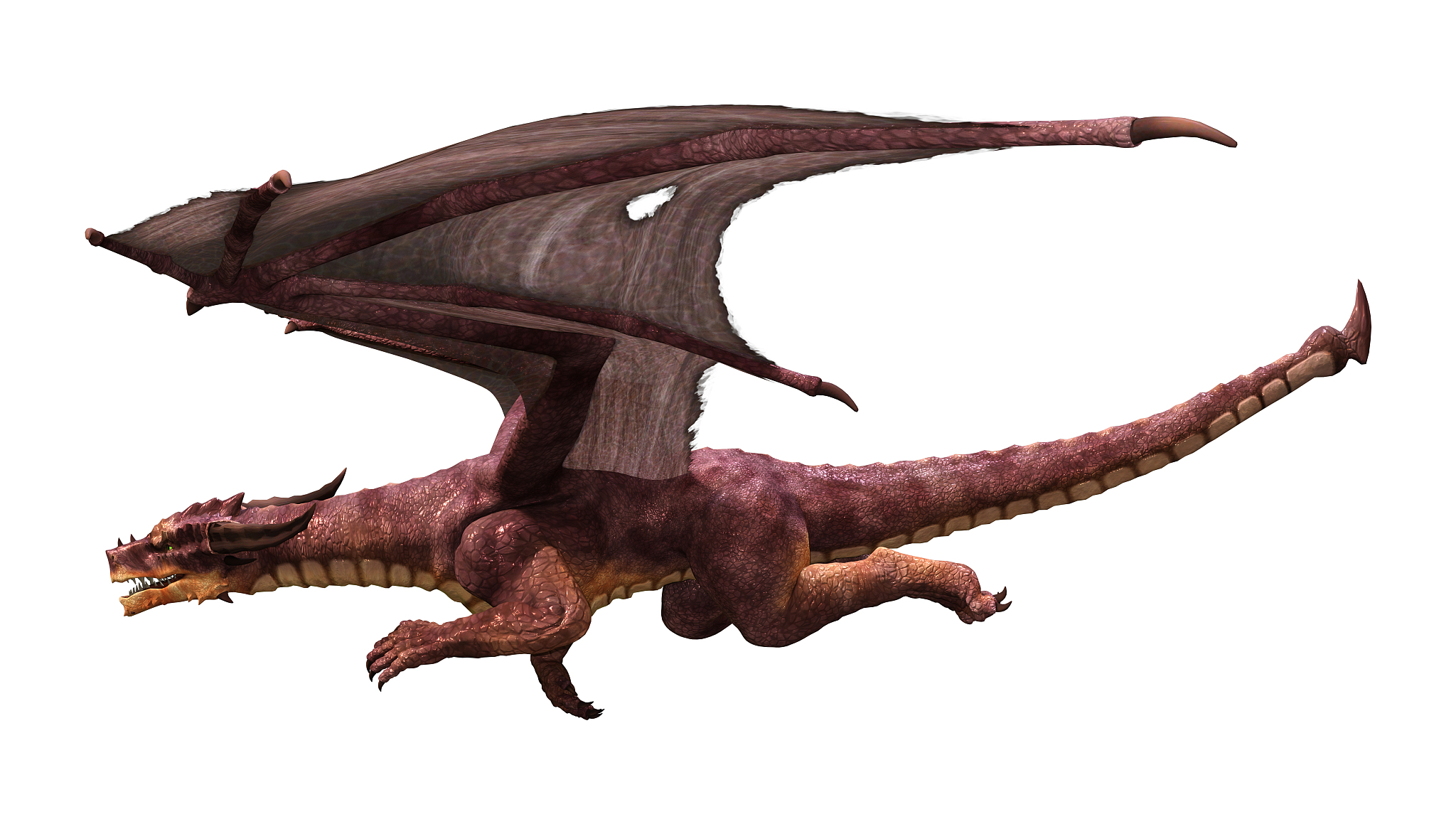 3d illustration fantasy dragon on white
