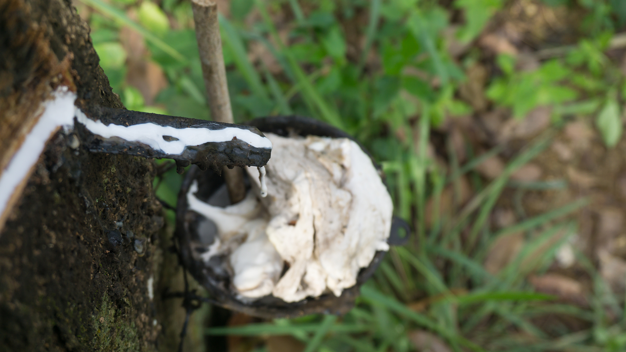 液体橡胶的合成原理