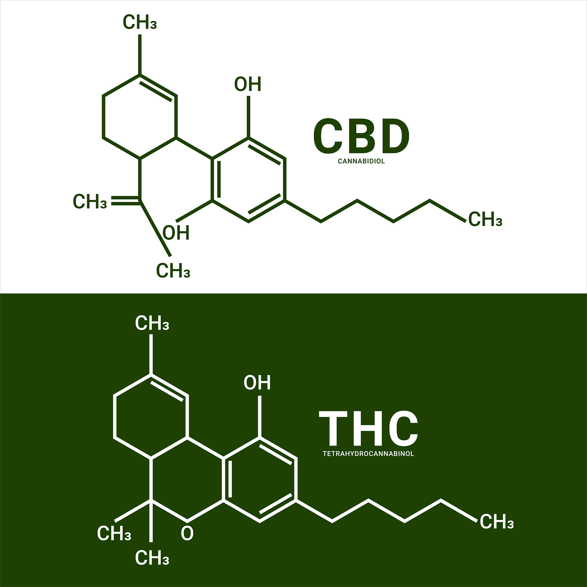 甜菜碱表面活性剂