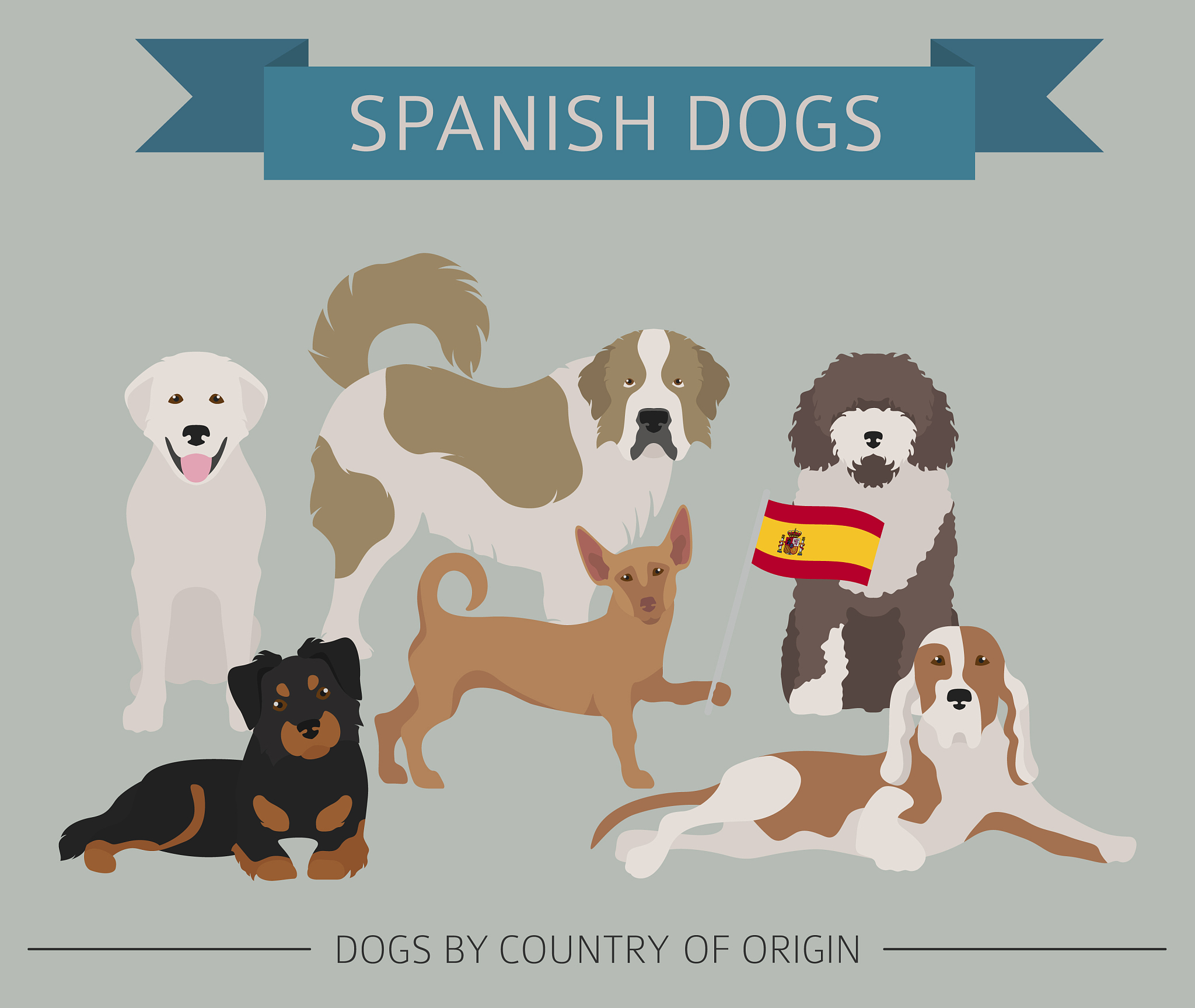 我和你的室友正在讨论是否应该养条狗。我的室友喜欢宠物所以他坚持认为这是必须做的事。然而我不喜欢宠物所以我建议其他一些我们都喜欢做的事情。用英文模拟我们的对话不少于八个回合