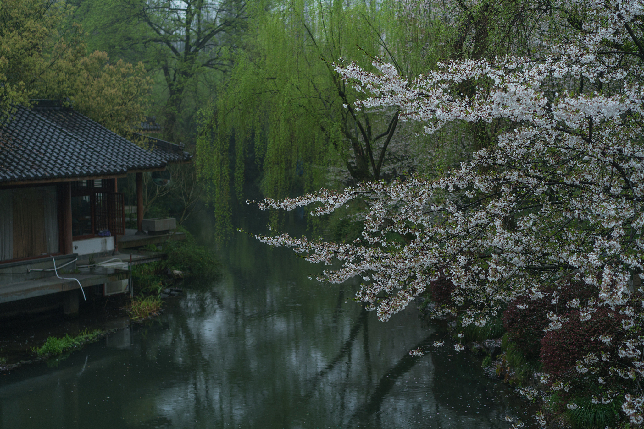 江南春景诗词：寂寞江南春，绿杨满院落