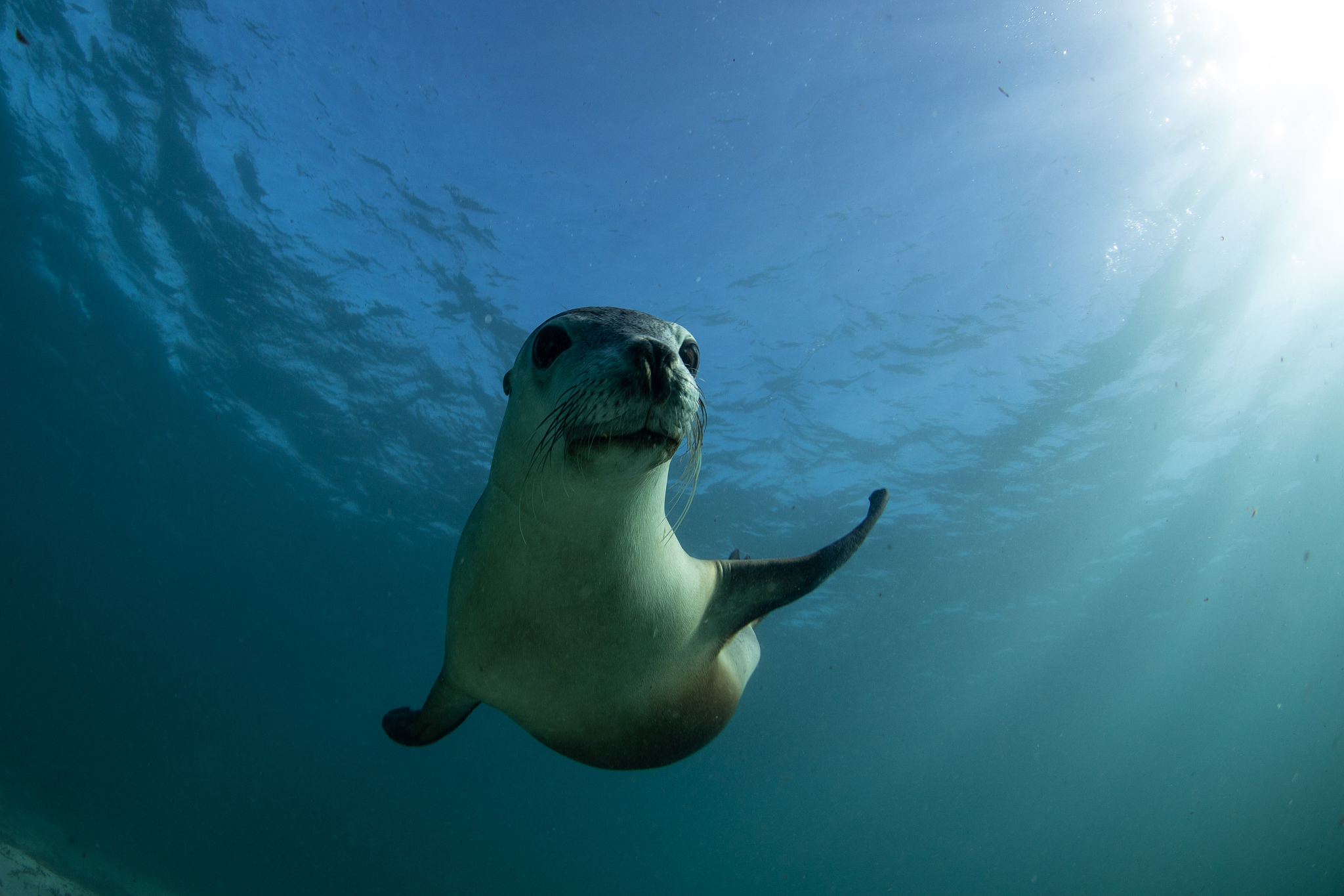 湖南环境生物职业技术学院有高铁乘务专业吗