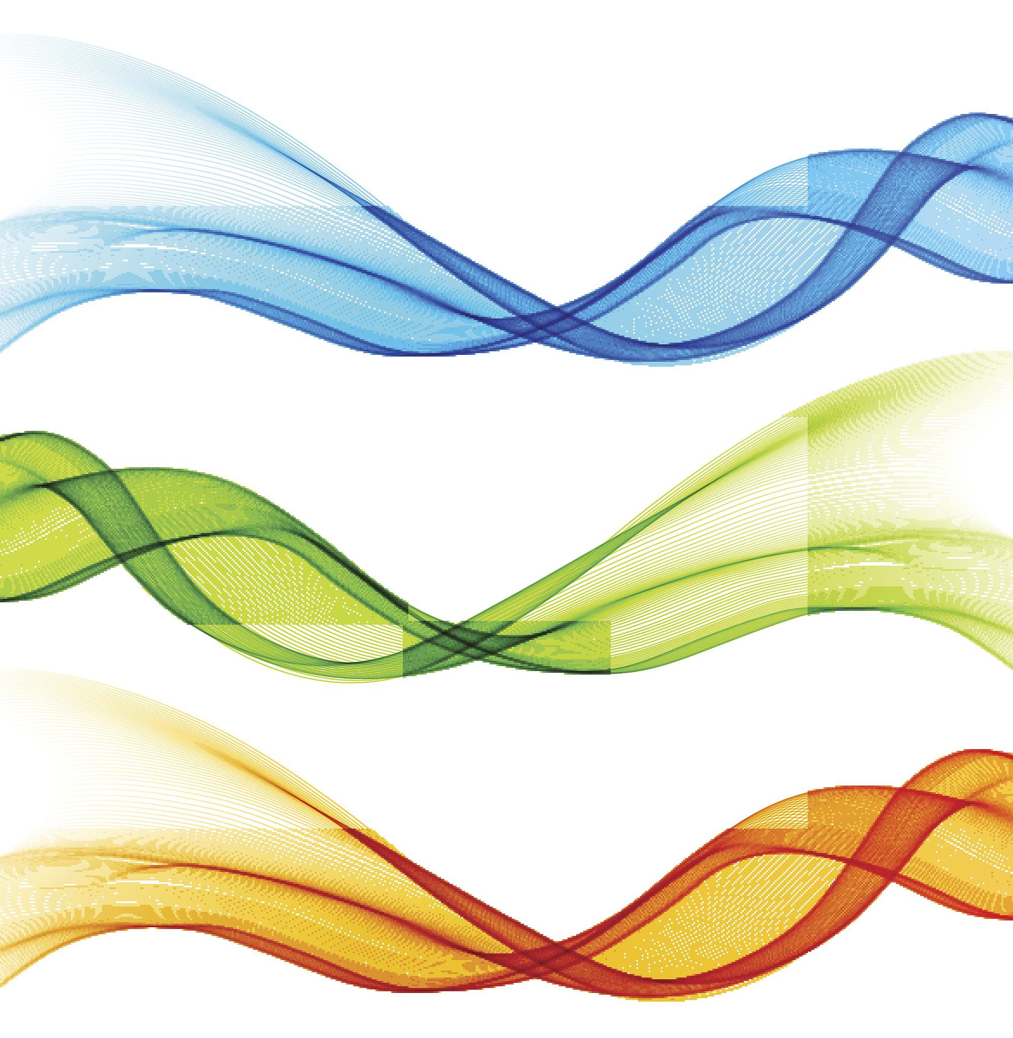 set of vector color curve lines on white
