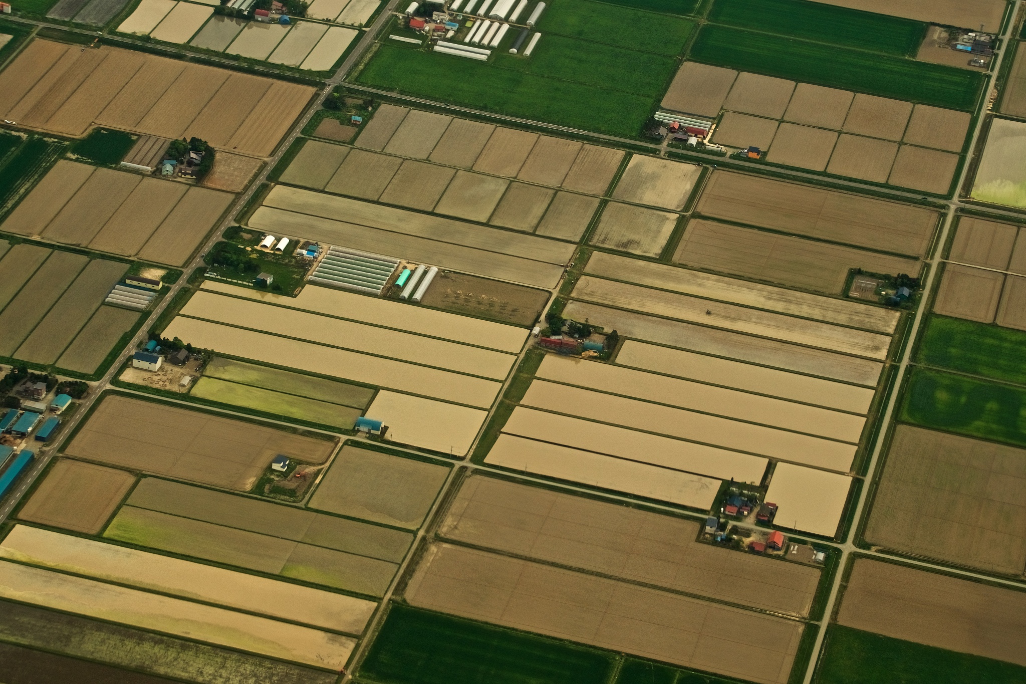 二维种田游戏开发总结:从美术到农业知识,我们遇到的那些坑 二维种田游戏开发总结:从美术到农业知识,我们遇到的那些坑