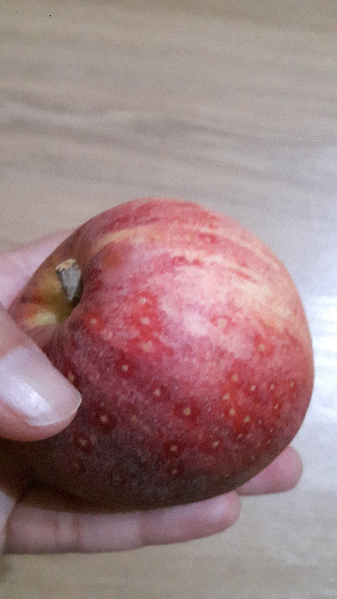 苹果有脂肪吗？